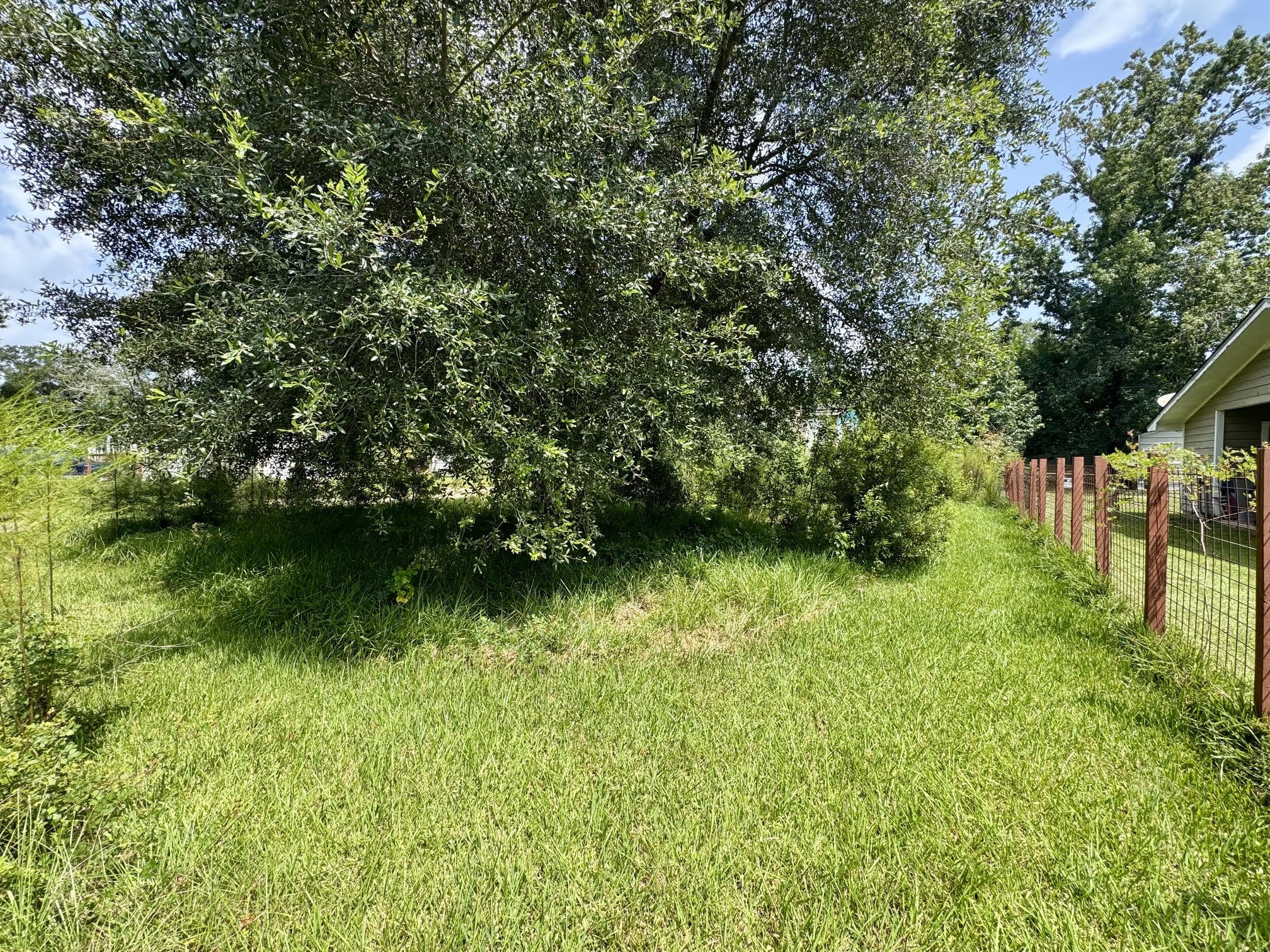10159 Peck Road Property Photo 1
