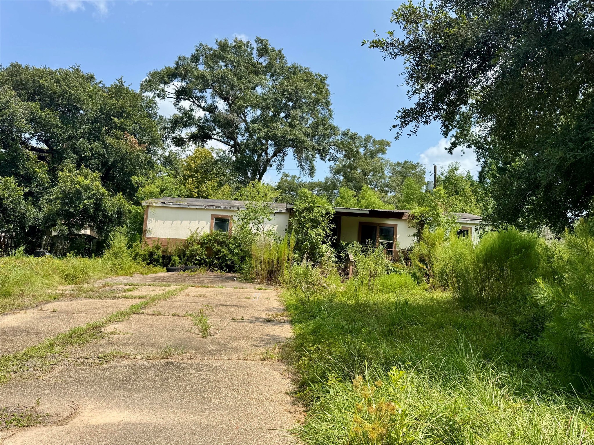 10159 Peck Road Property Photo 2