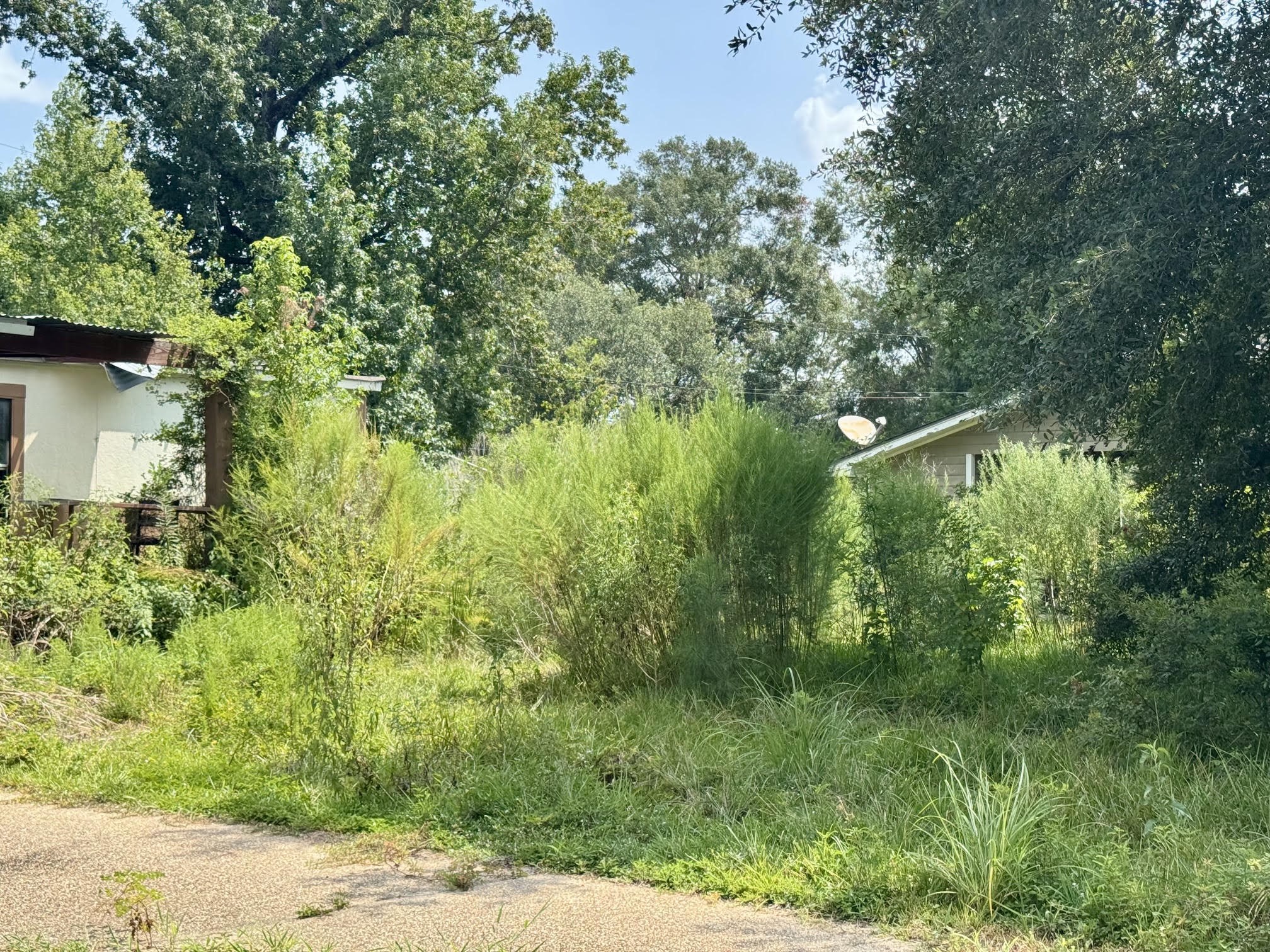 10159 Peck Road Property Photo 4