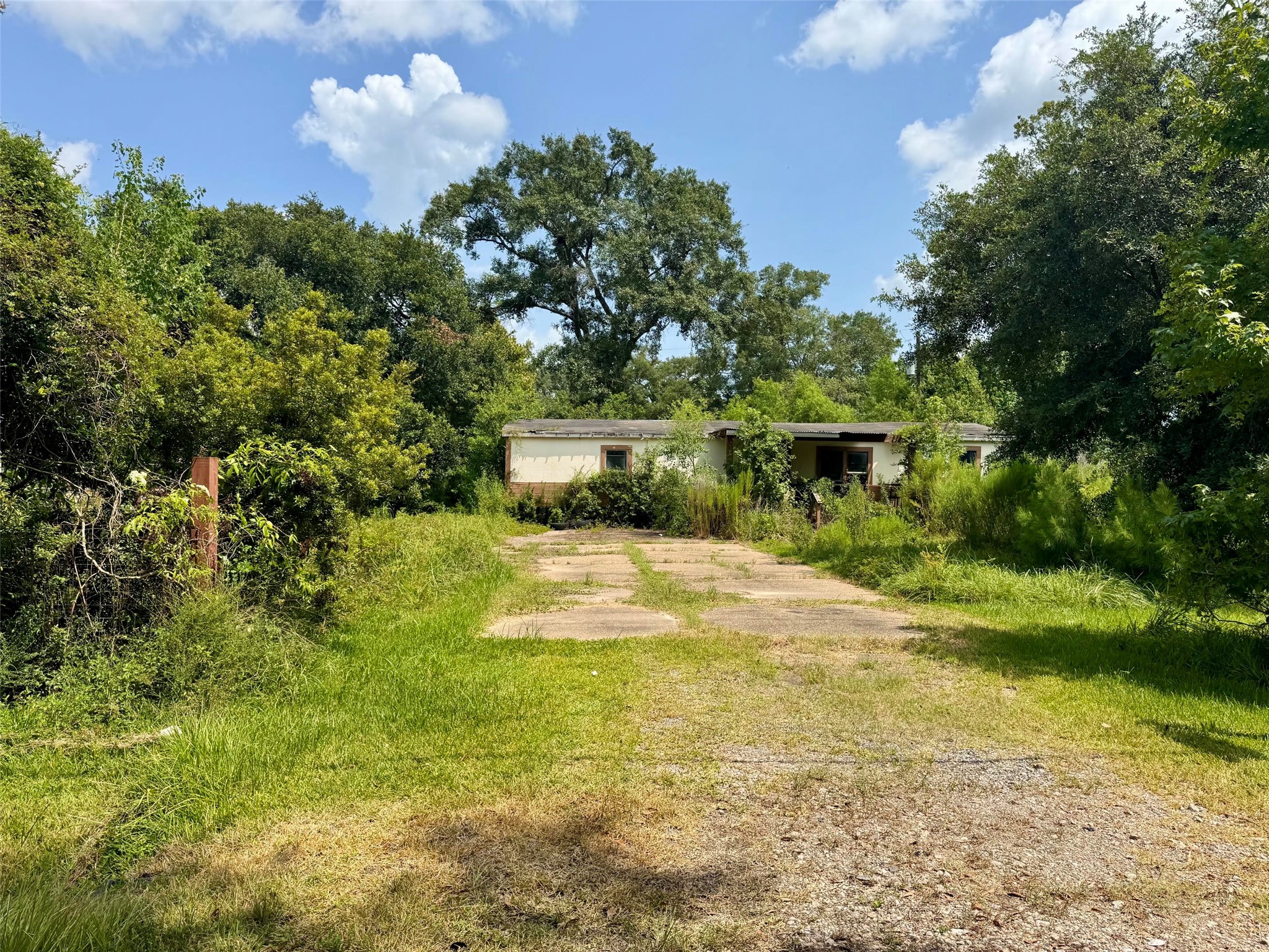 10159 Peck Road Property Photo 5