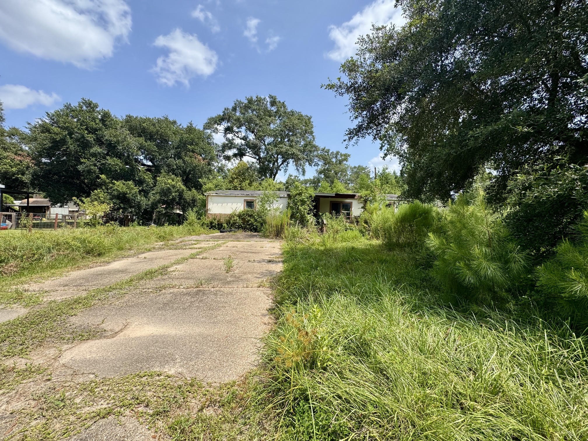 10159 Peck Road Property Photo 6