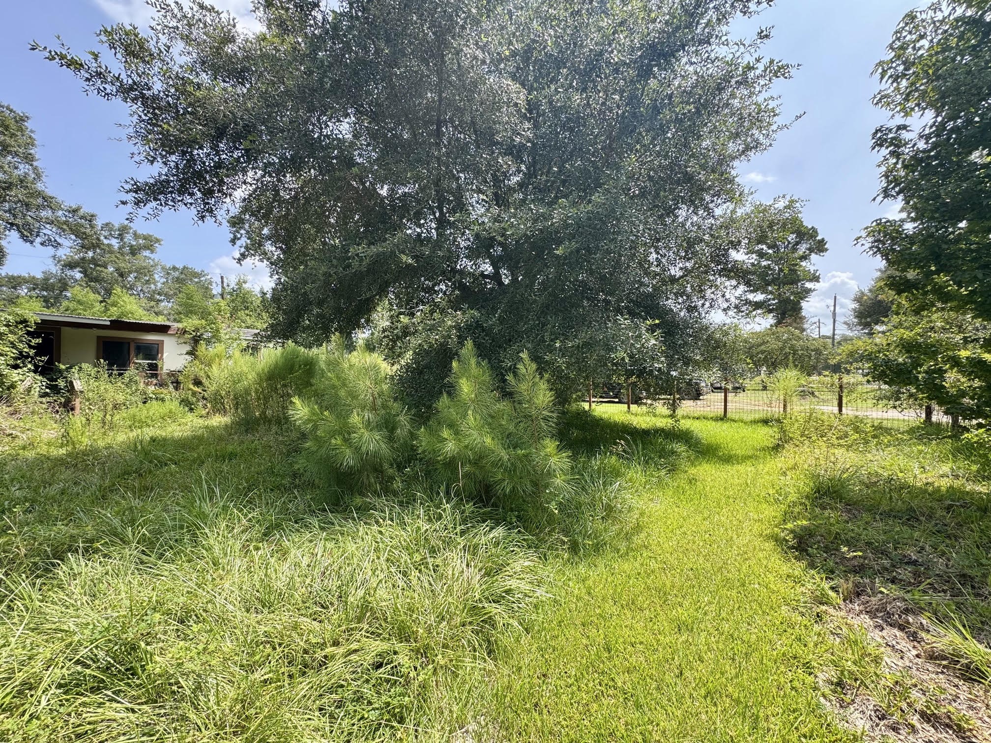 10159 Peck Road Property Photo 7