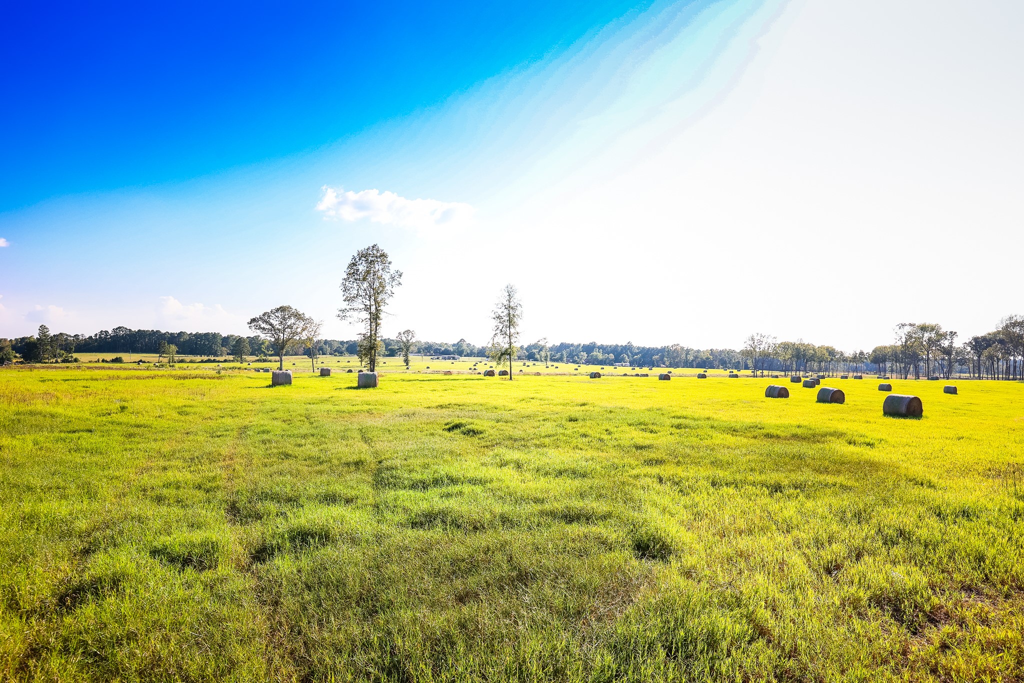 3280 N Fm 450 Property Photo 19