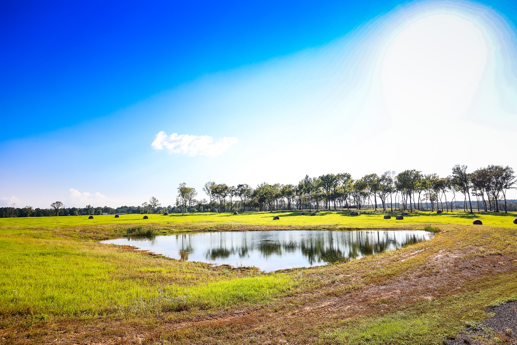 3280 N Fm 450 Property Photo 20