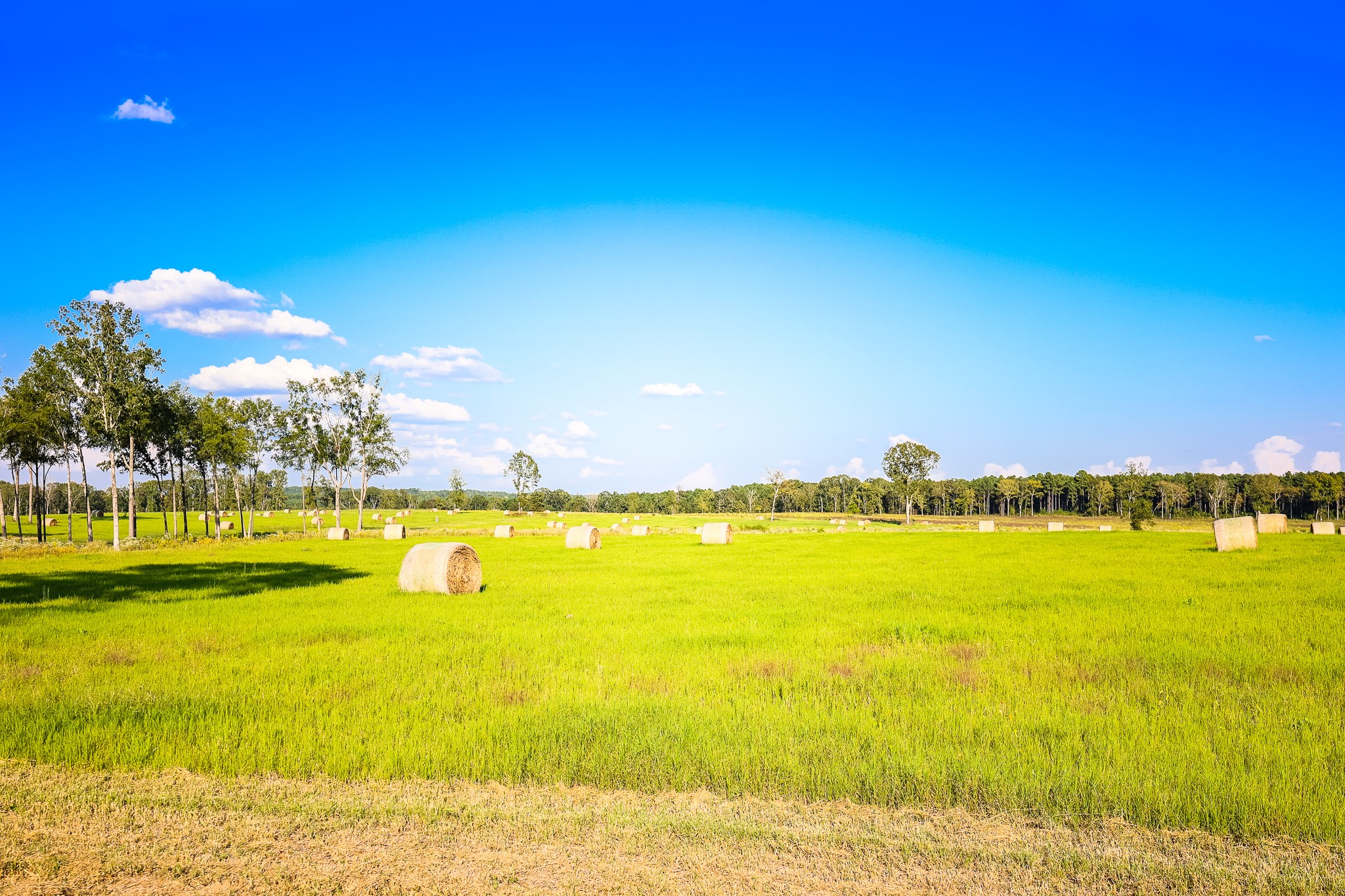 3280 N Fm 450 Property Photo 23