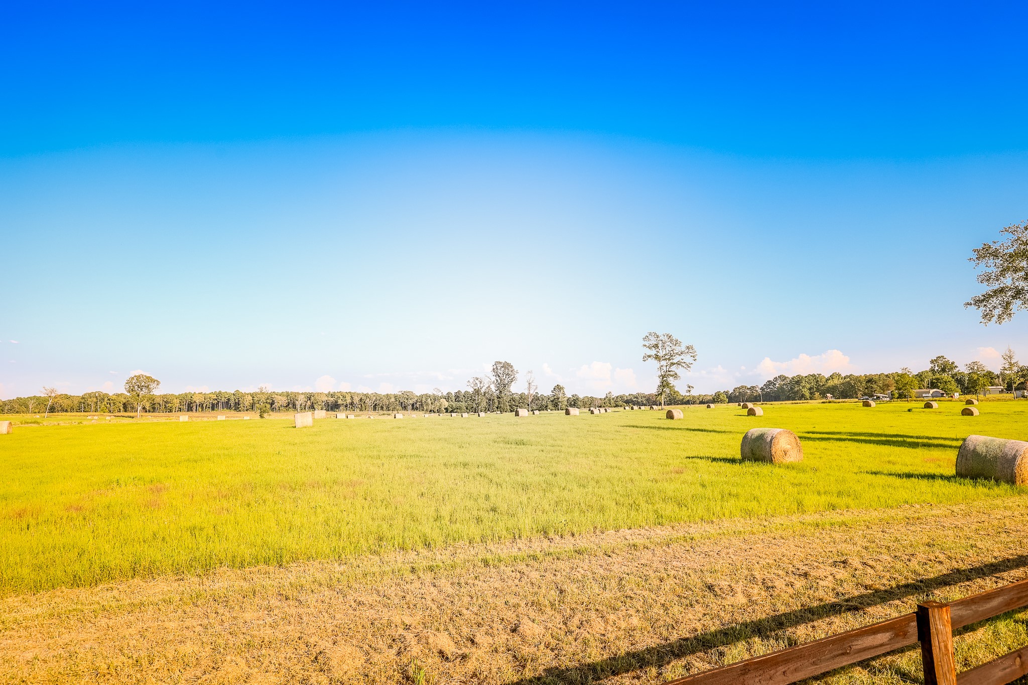 3280 N Fm 450 Property Photo 24