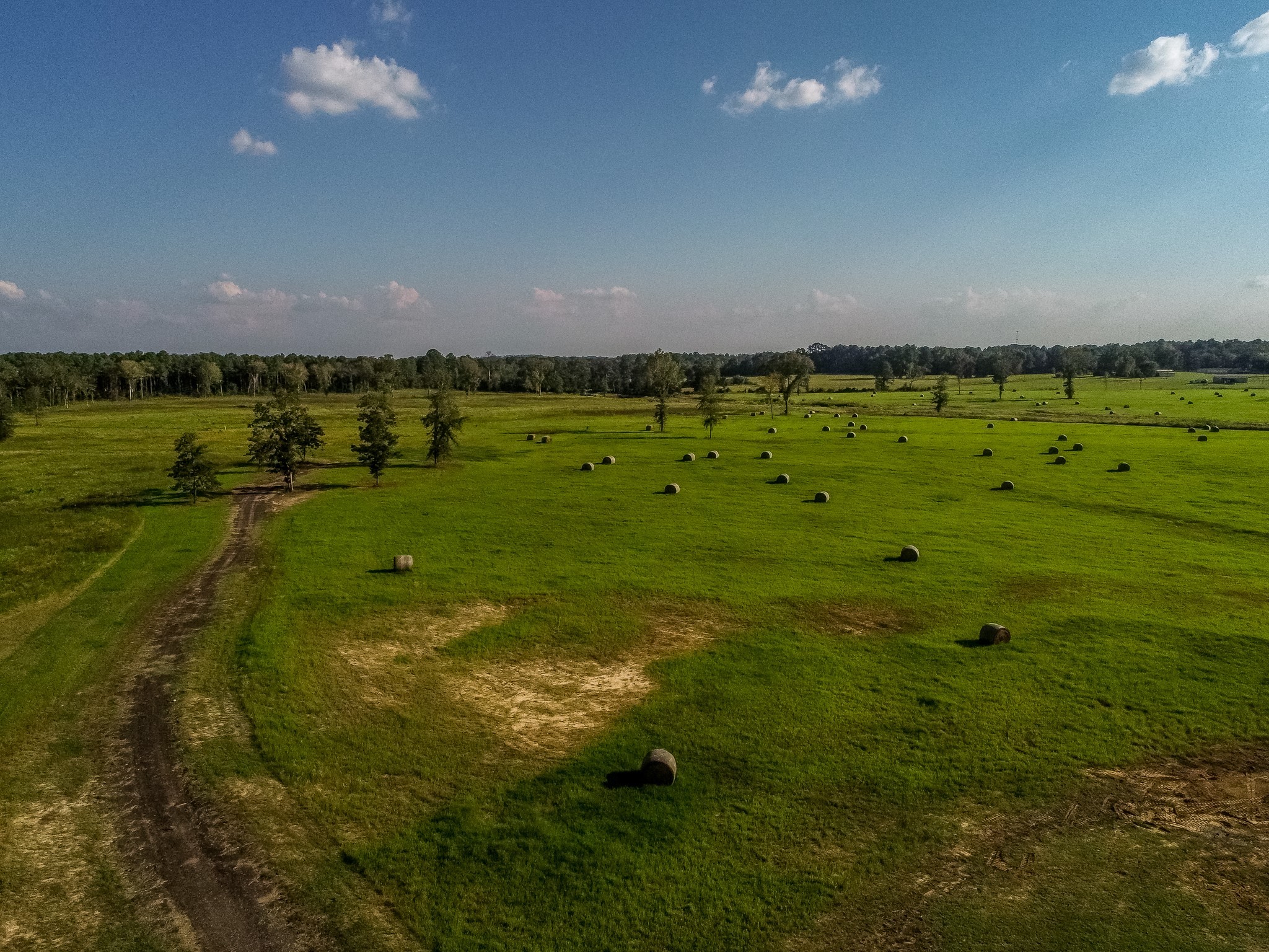 3280 N Fm 450 Property Photo 26