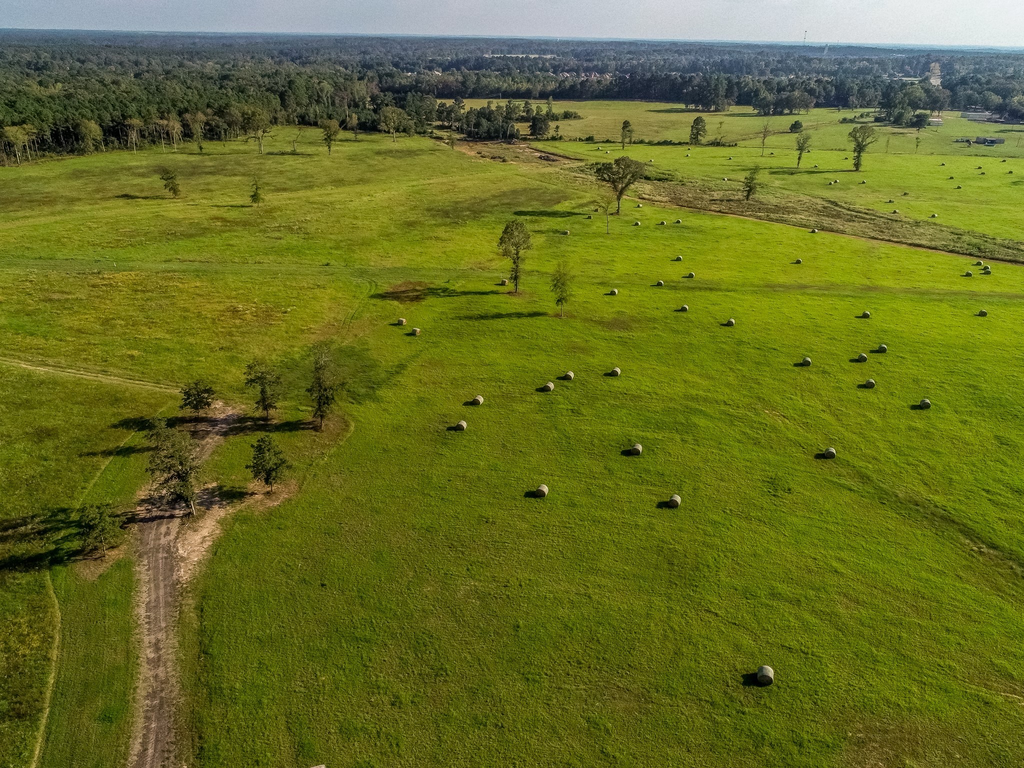 3280 N Fm 450 Property Photo 28