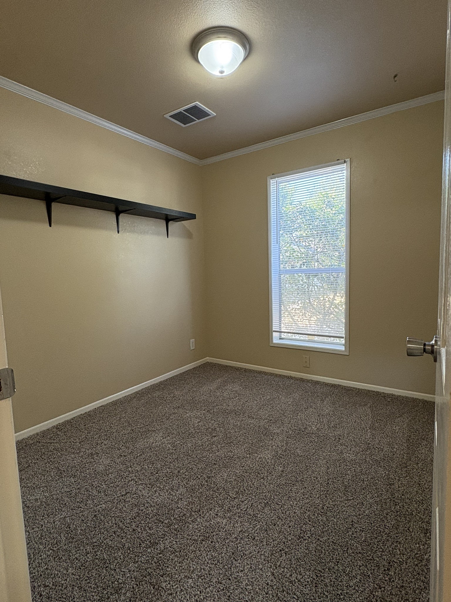 10002 Sugarvine Lane Property Photo 8