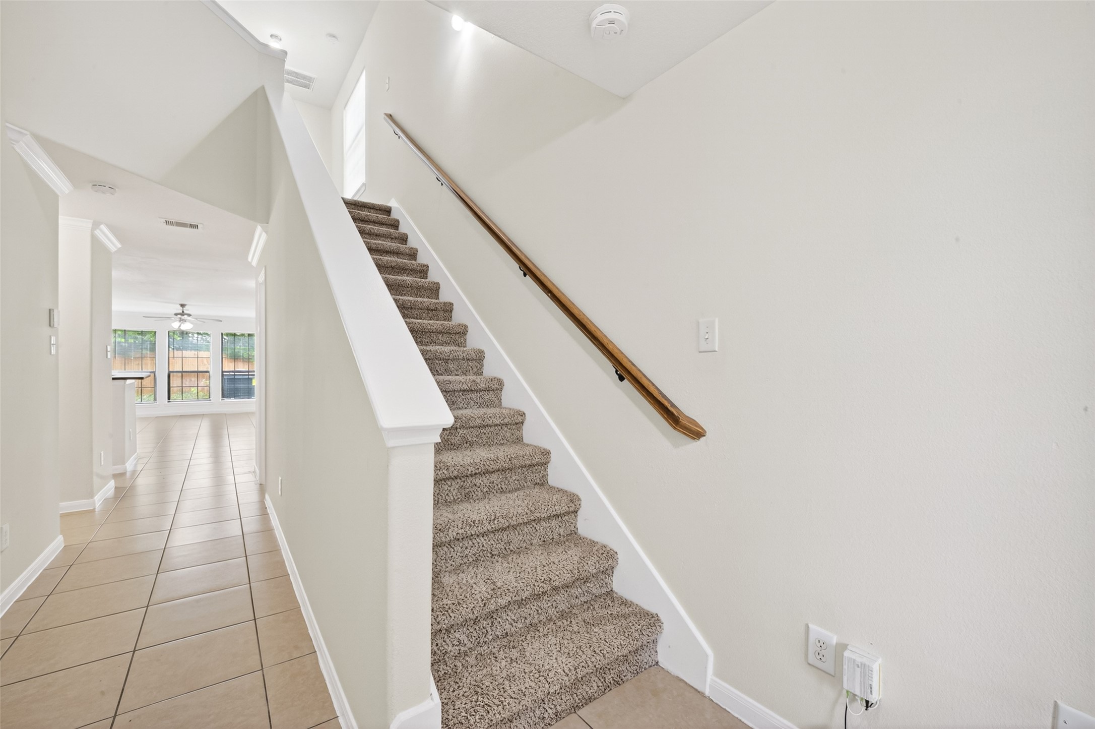 4502 Mallow Street A Property Photo 6