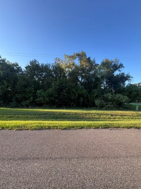 1039 W Point Drive Property Photo 2