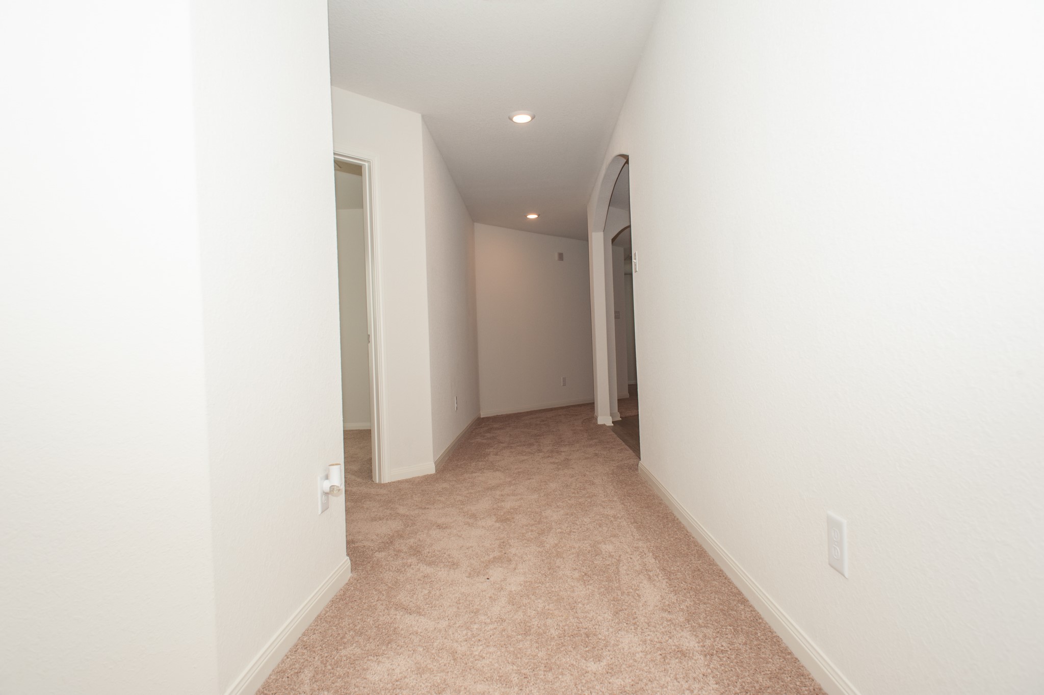 1214 Paradise Found Drive Property Photo 5