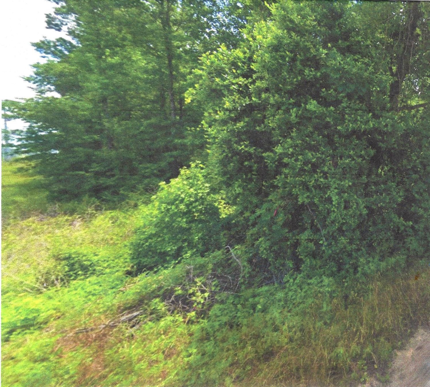 0 N Highway 75 Highway Property Photo 6