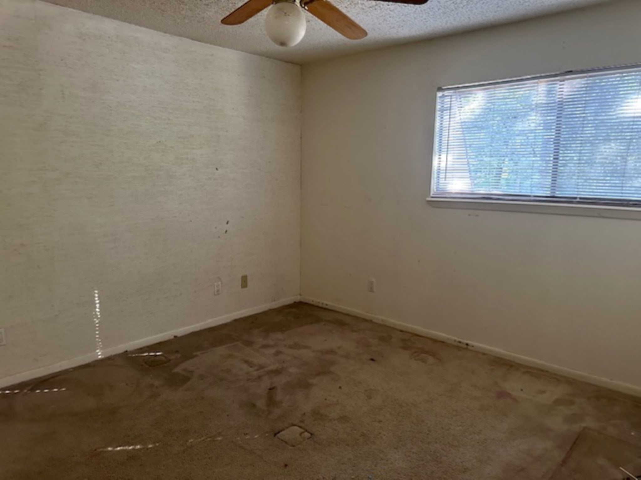 24476 Country Club Dr Property Photo 4