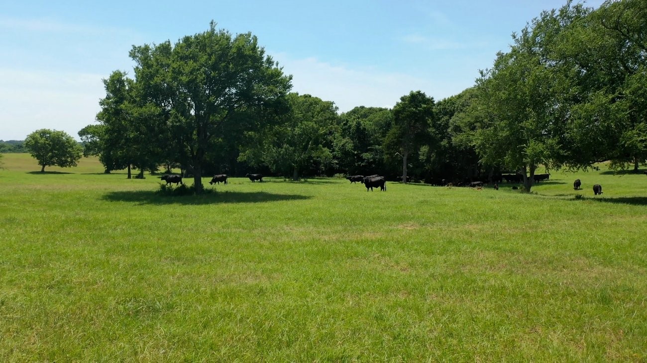 3896 Cr 305 436 Acs Property Photo 17