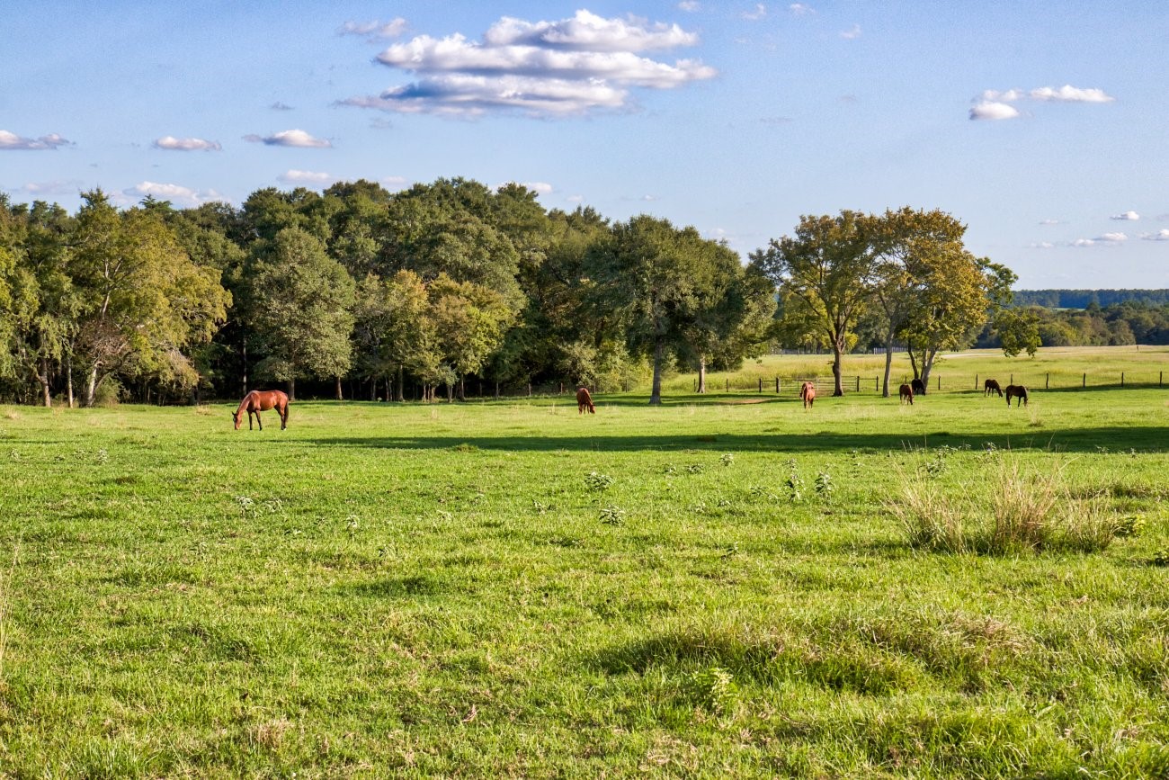 3896 Cr 305 436 Acs Property Photo 19