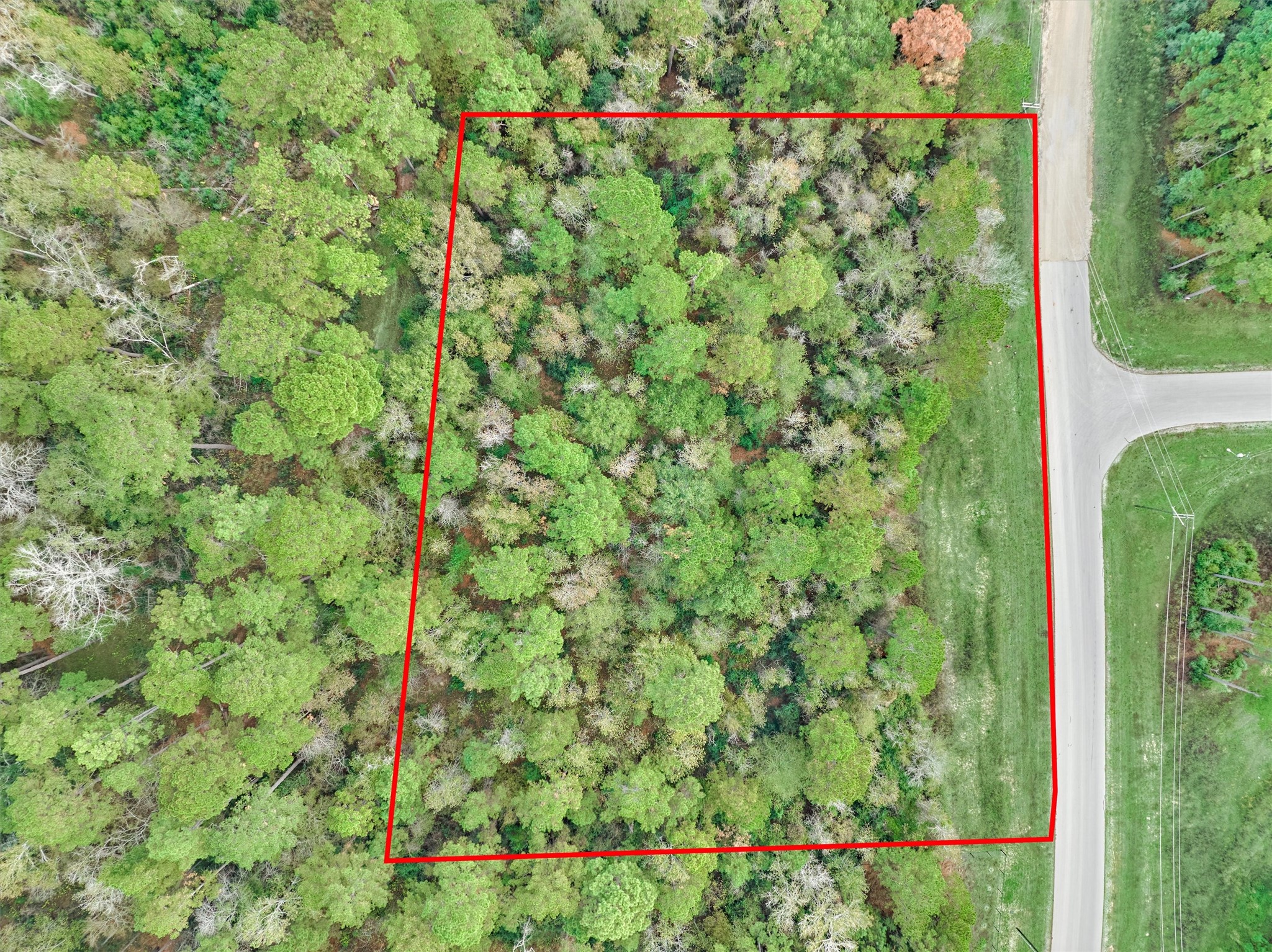 498 Lonestar Road Property Photo 17
