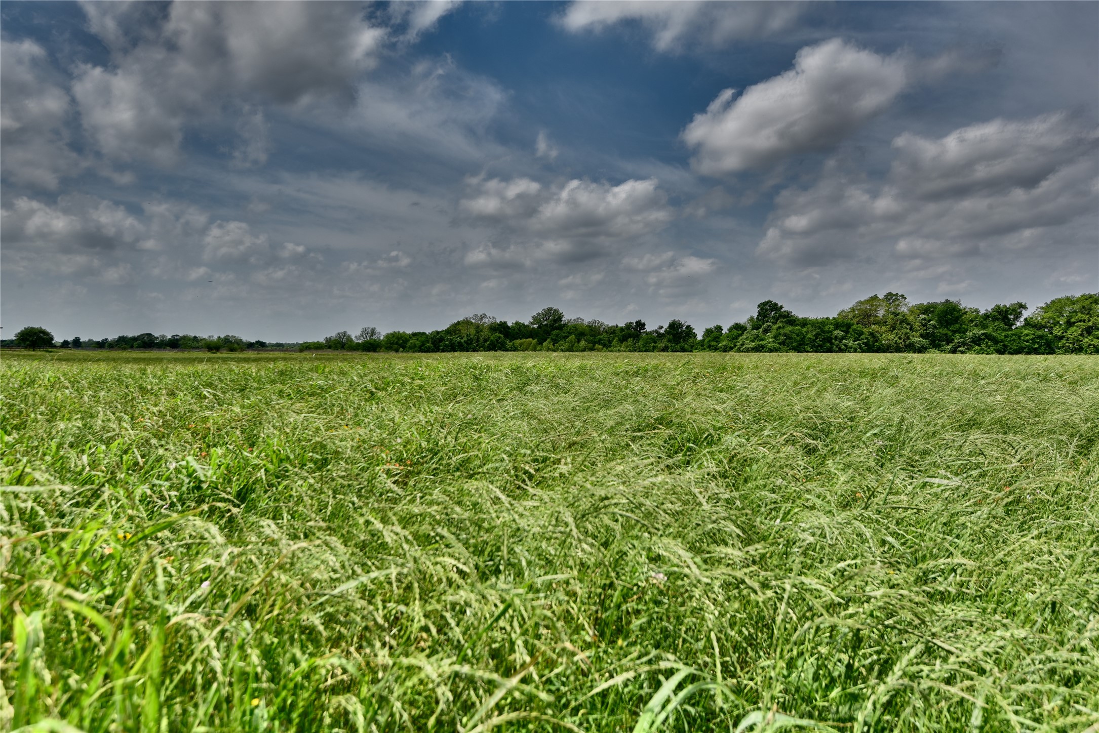 Tbd River Haven Dr Property Photo 3