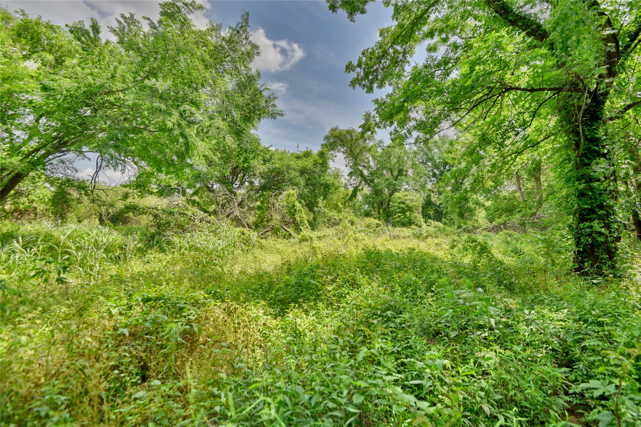 Tbd River Haven Dr Property Photo 5