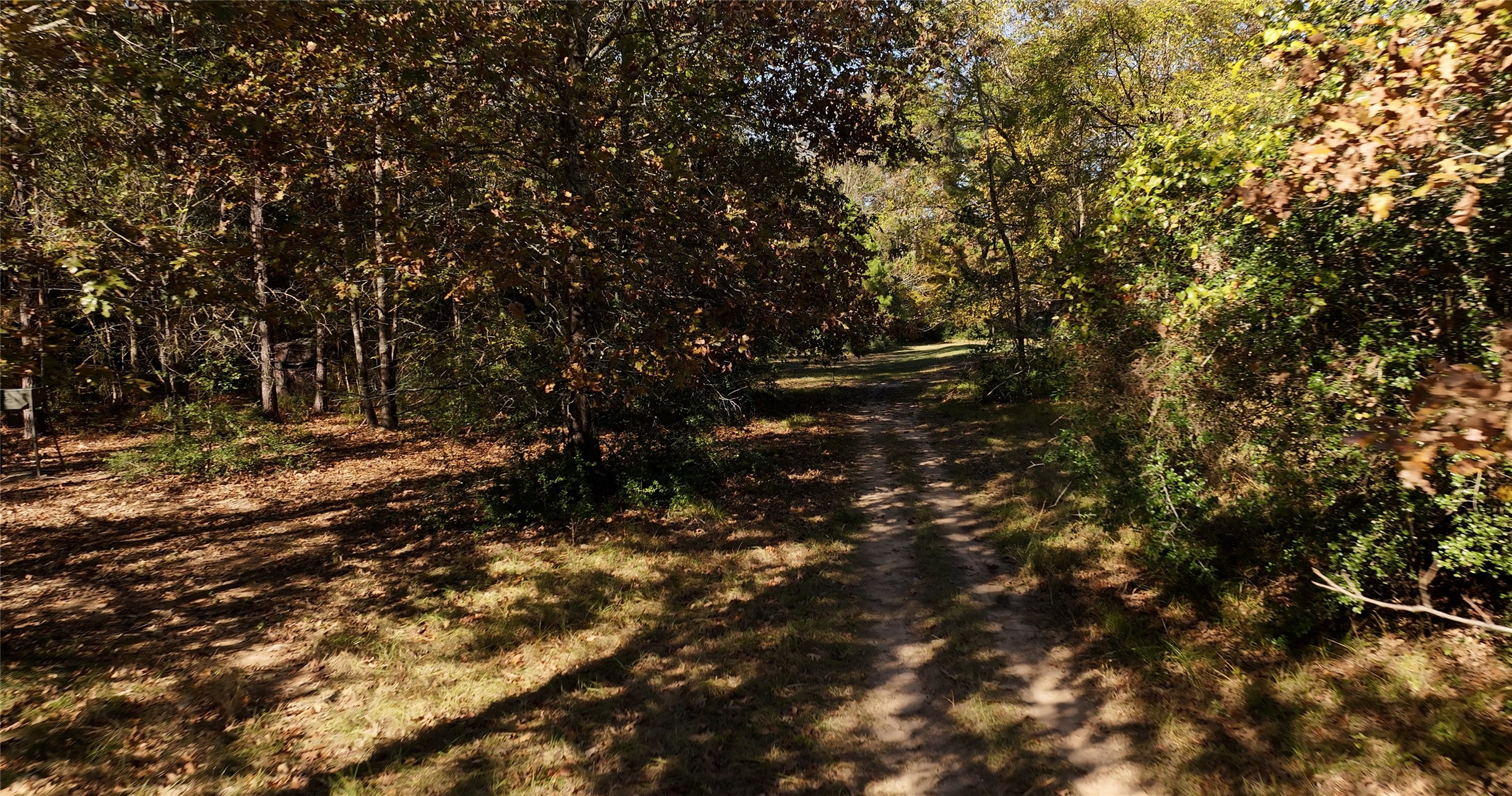 12526 Pearson Road Property Photo 7