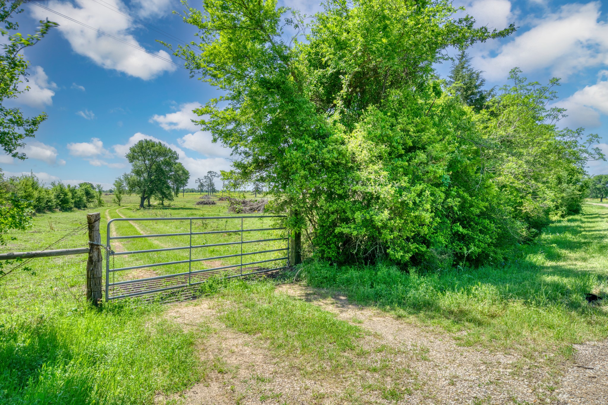 276 Ac Fm 977 Property Photo 3