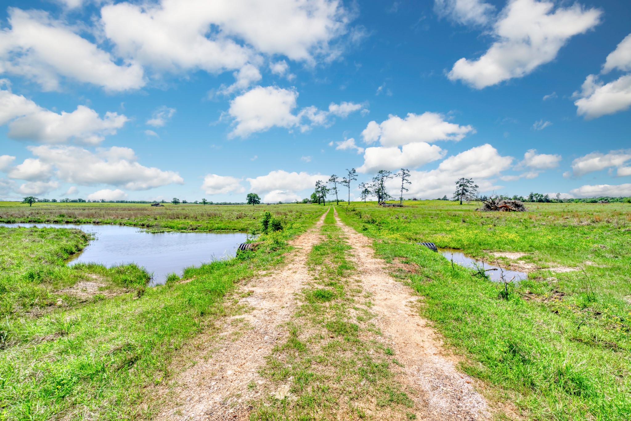 276 Ac Fm 977 Property Photo 4