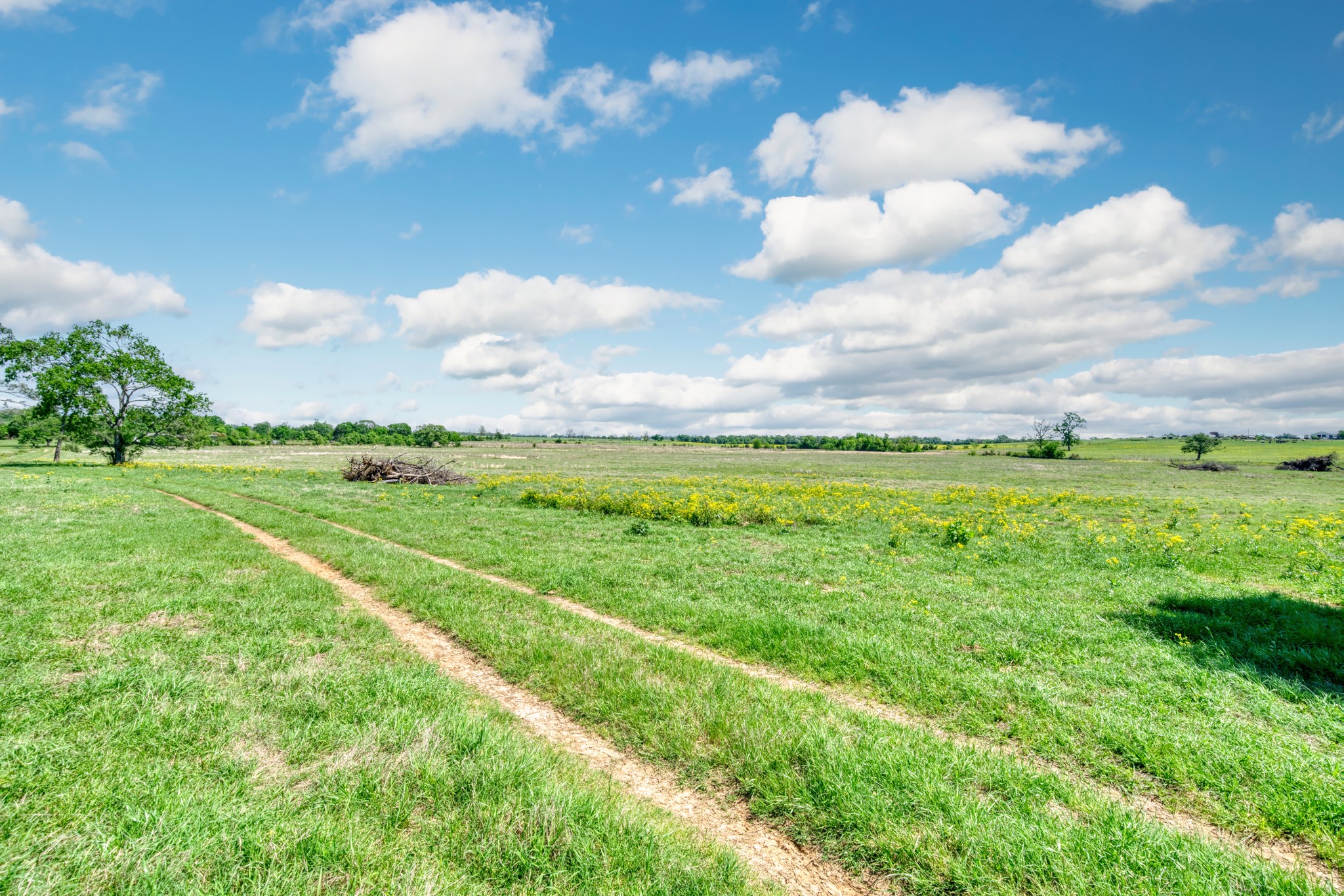 276 Ac Fm 977 Property Photo 5