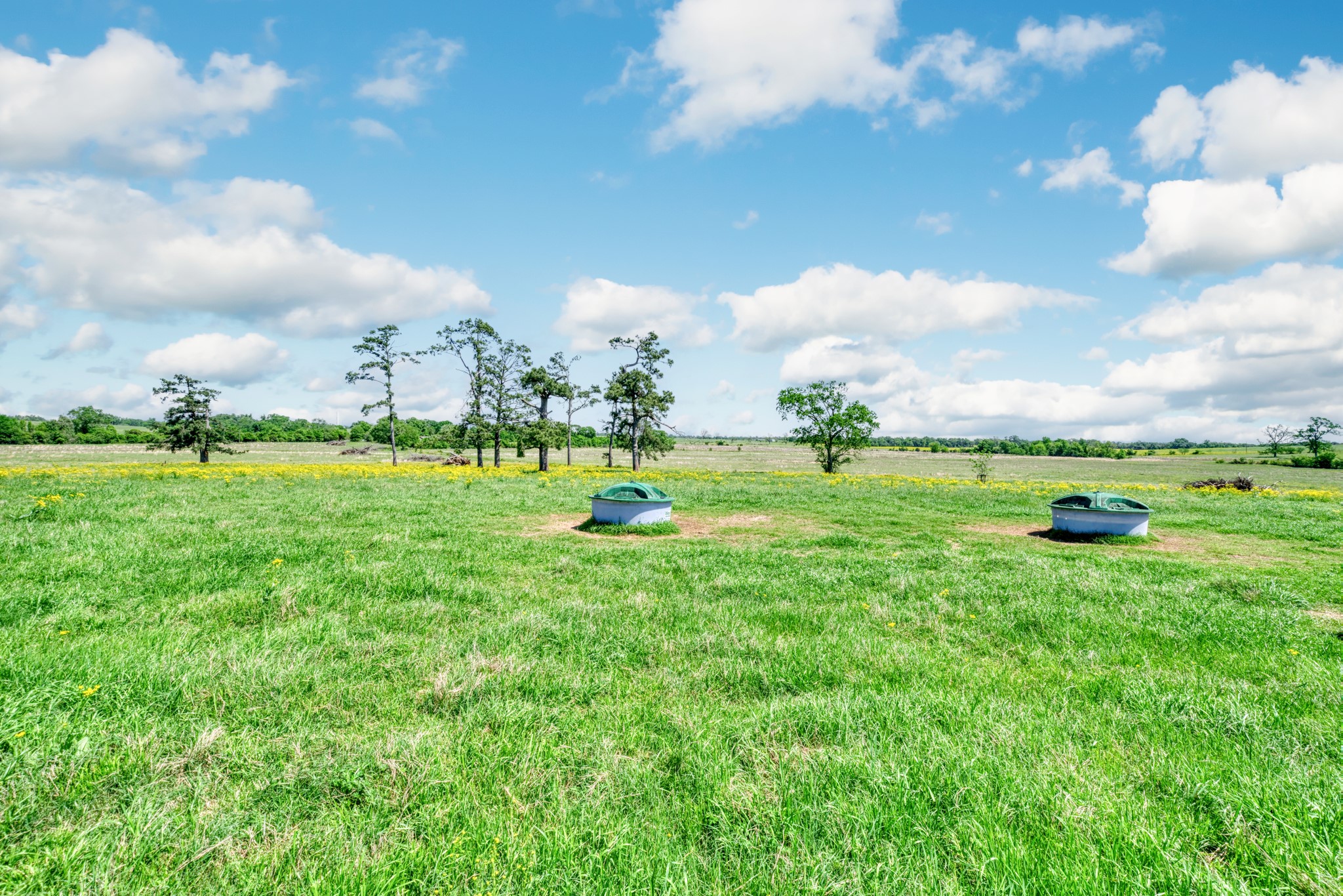 276 Ac Fm 977 Property Photo 6