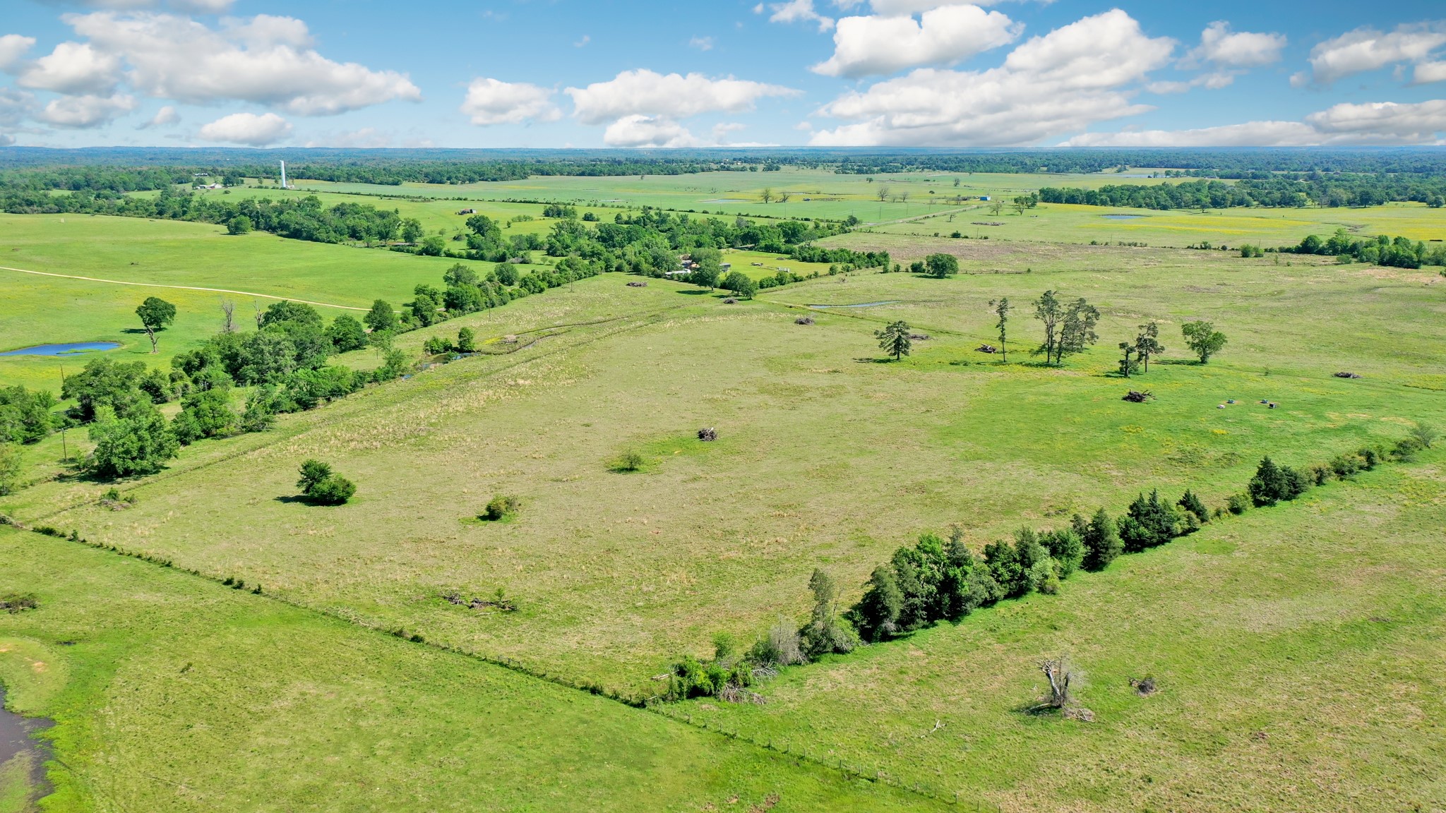 276 Ac Fm 977 Property Photo 9