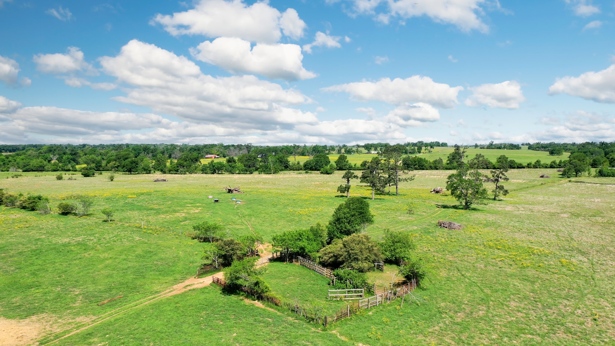 276 Ac Fm 977 Property Photo 10