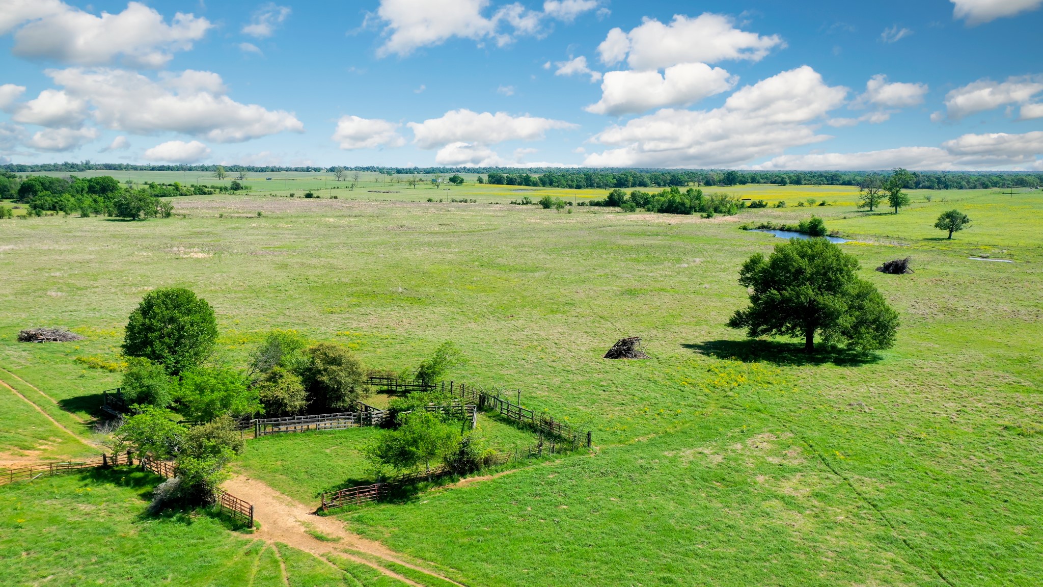 276 Ac Fm 977 Property Photo 11