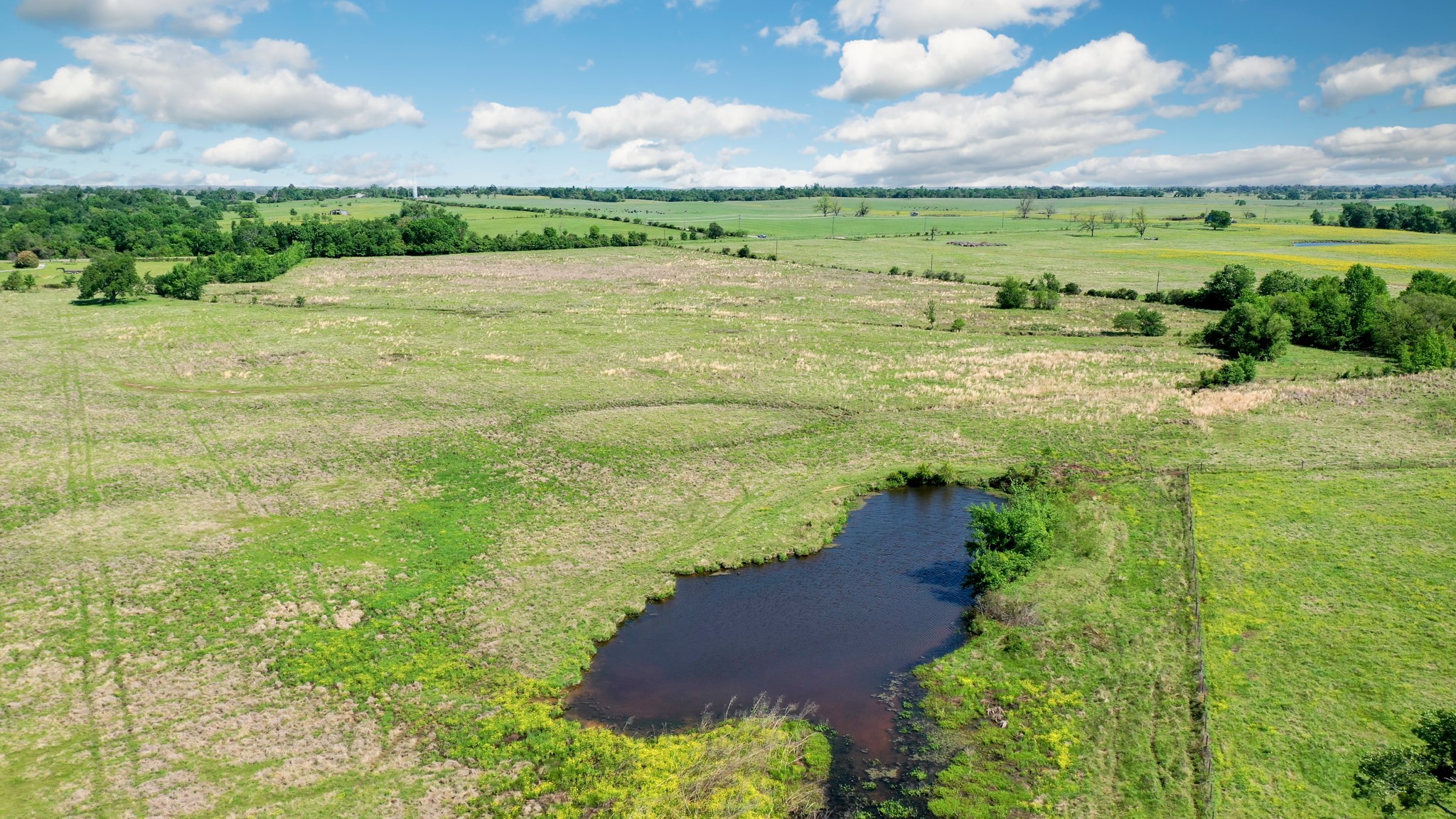 276 Ac Fm 977 Property Photo 12