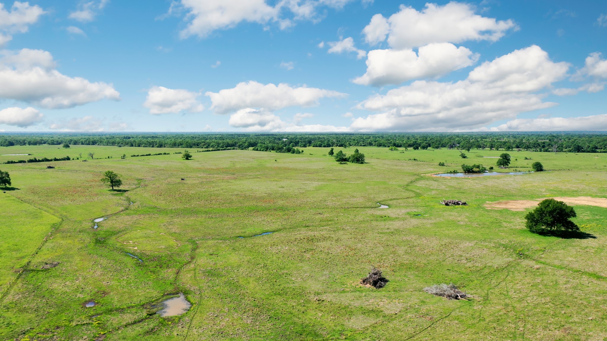 276 Ac Fm 977 Property Photo 13