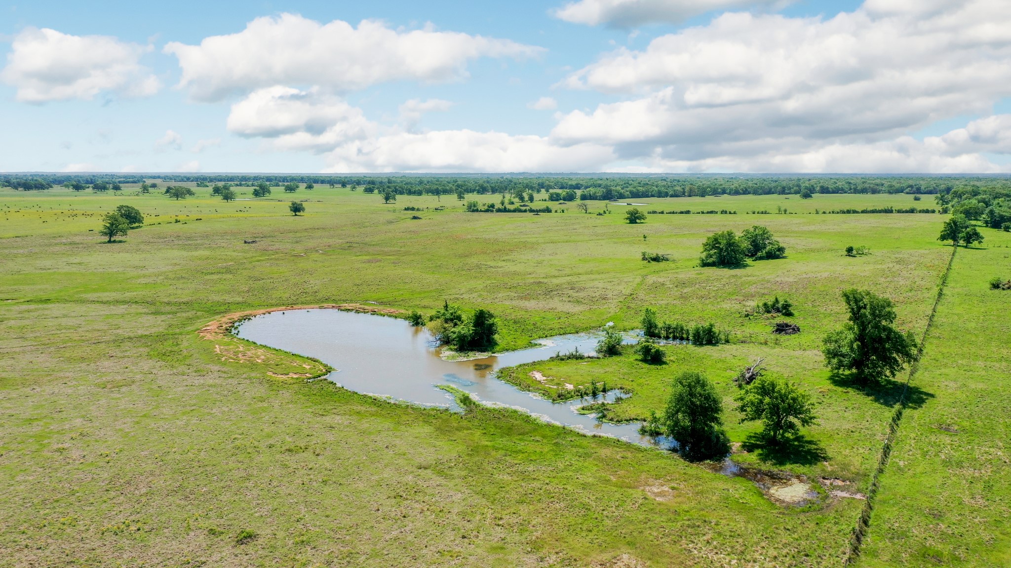 276 Ac Fm 977 Property Photo 15