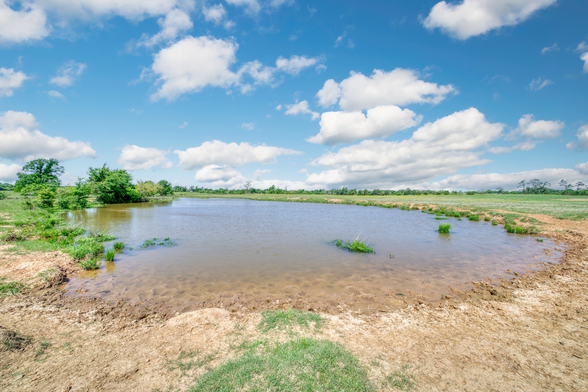 276 Ac Fm 977 Property Photo 16