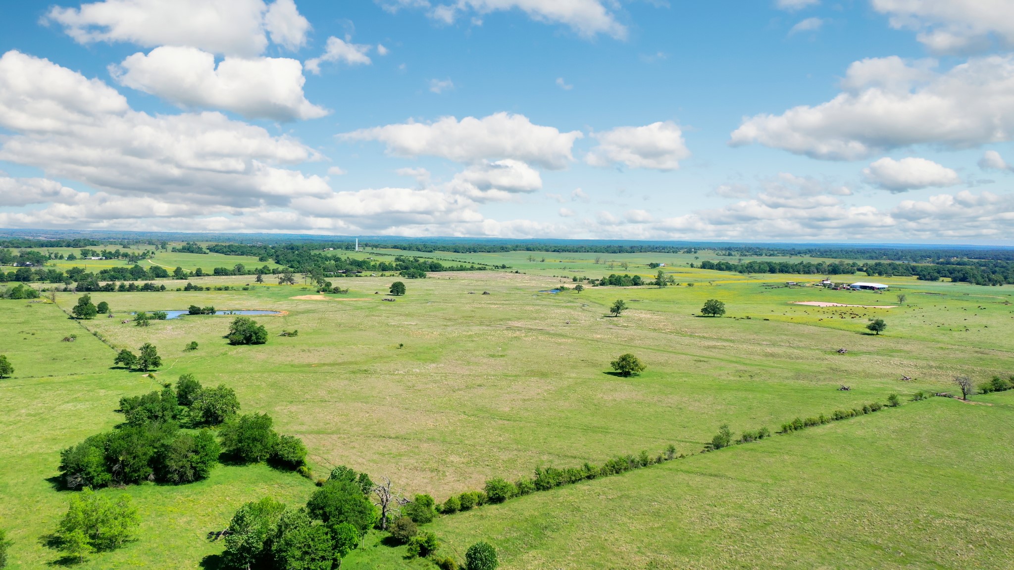 276 Ac Fm 977 Property Photo 17