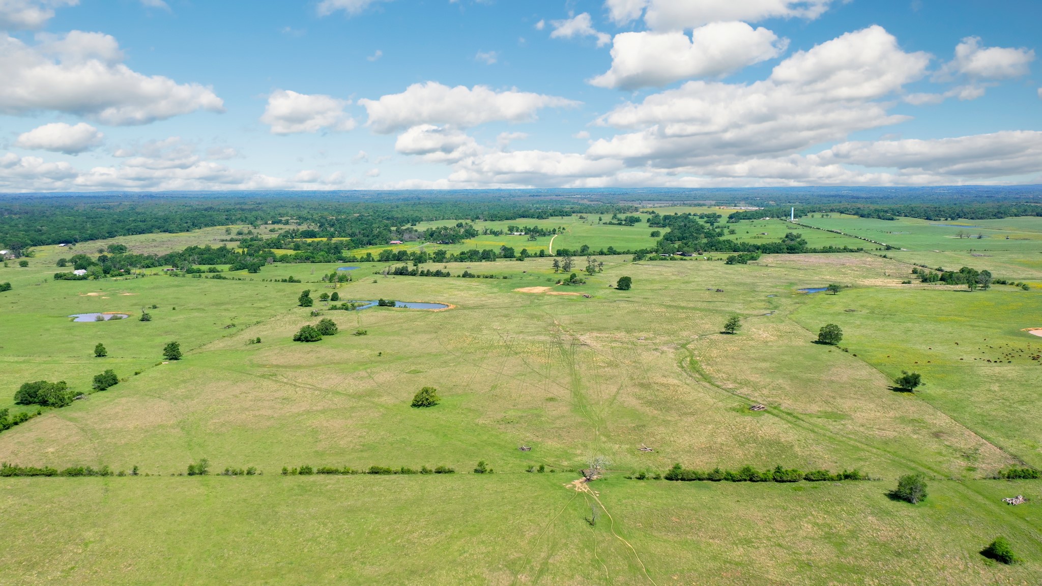 276 Ac Fm 977 Property Photo 18