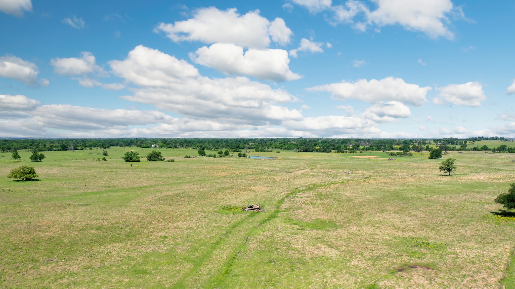 276 Ac Fm 977 Property Photo 19