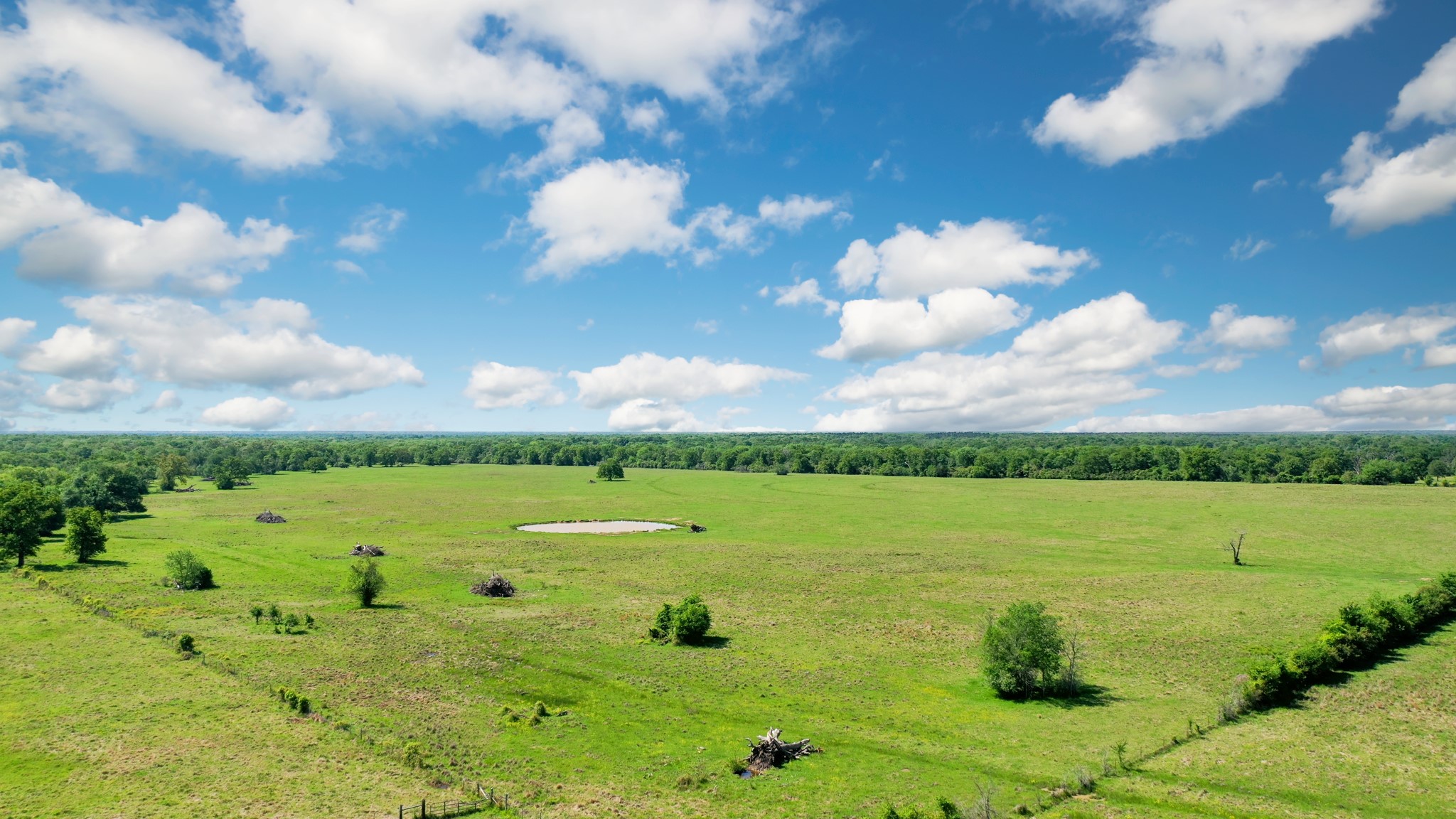 276 Ac Fm 977 Property Photo 20