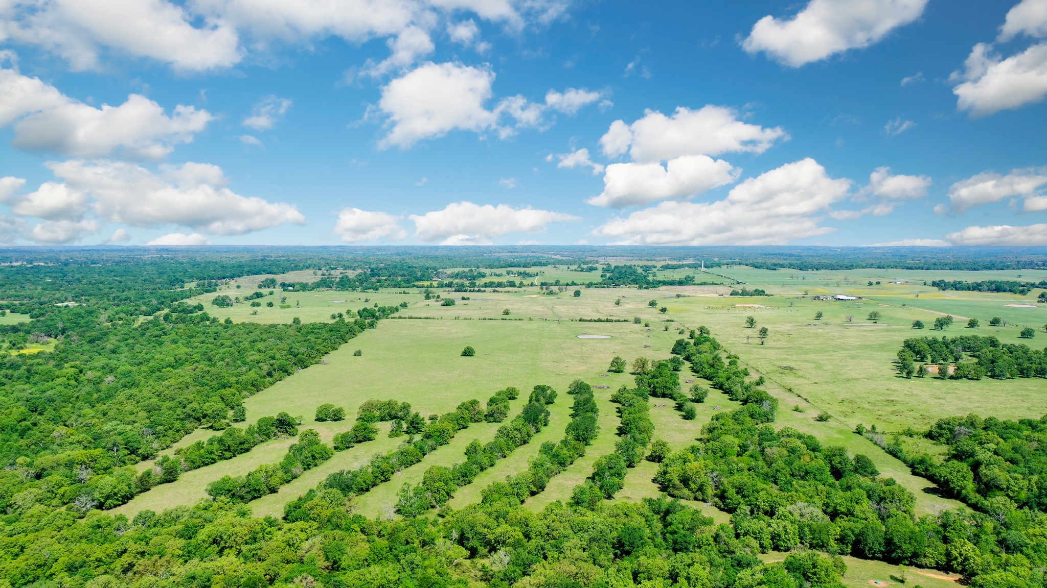 276 Ac Fm 977 Property Photo 25