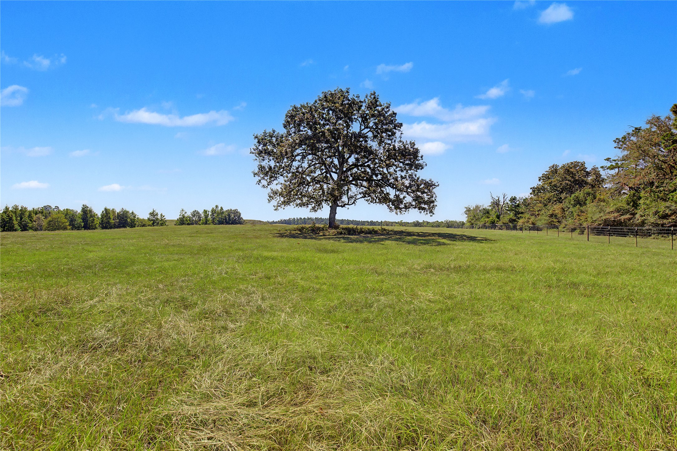 3233 N State Highway 19 Property Photo 45