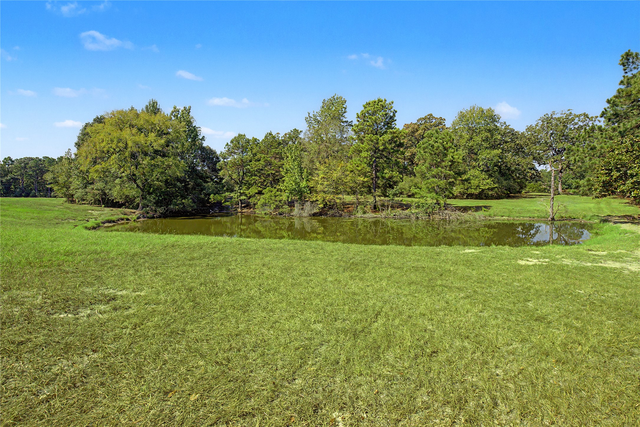 3233 N State Highway 19 Property Photo 46