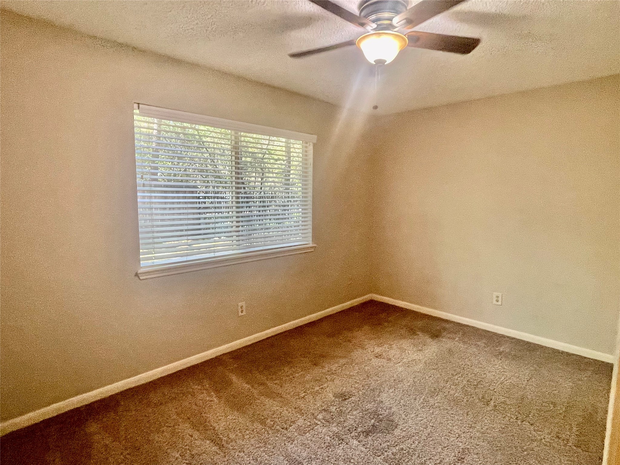 13 Maywind Court Property Photo 25