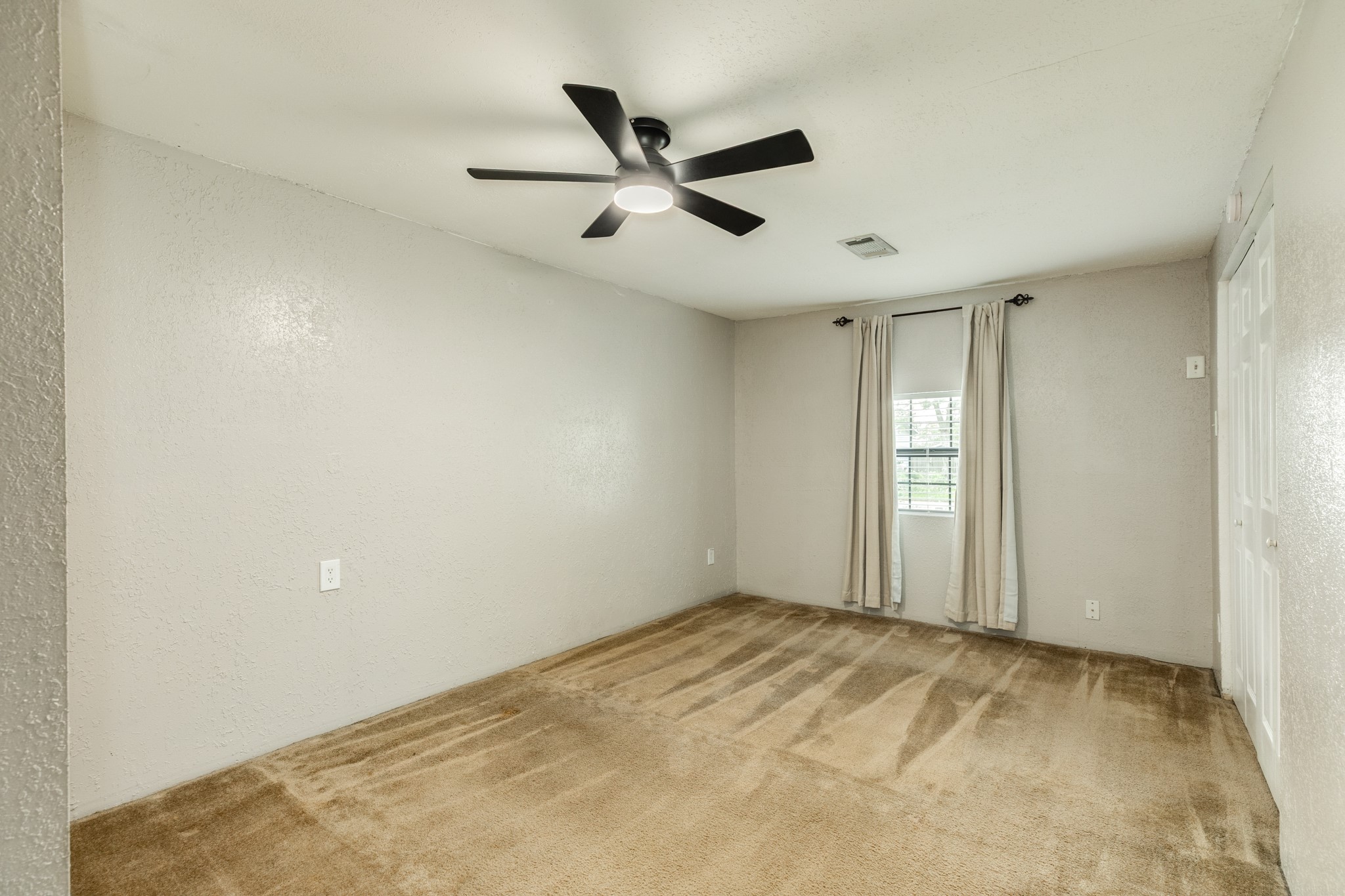 219 Camellia Street Property Photo 18