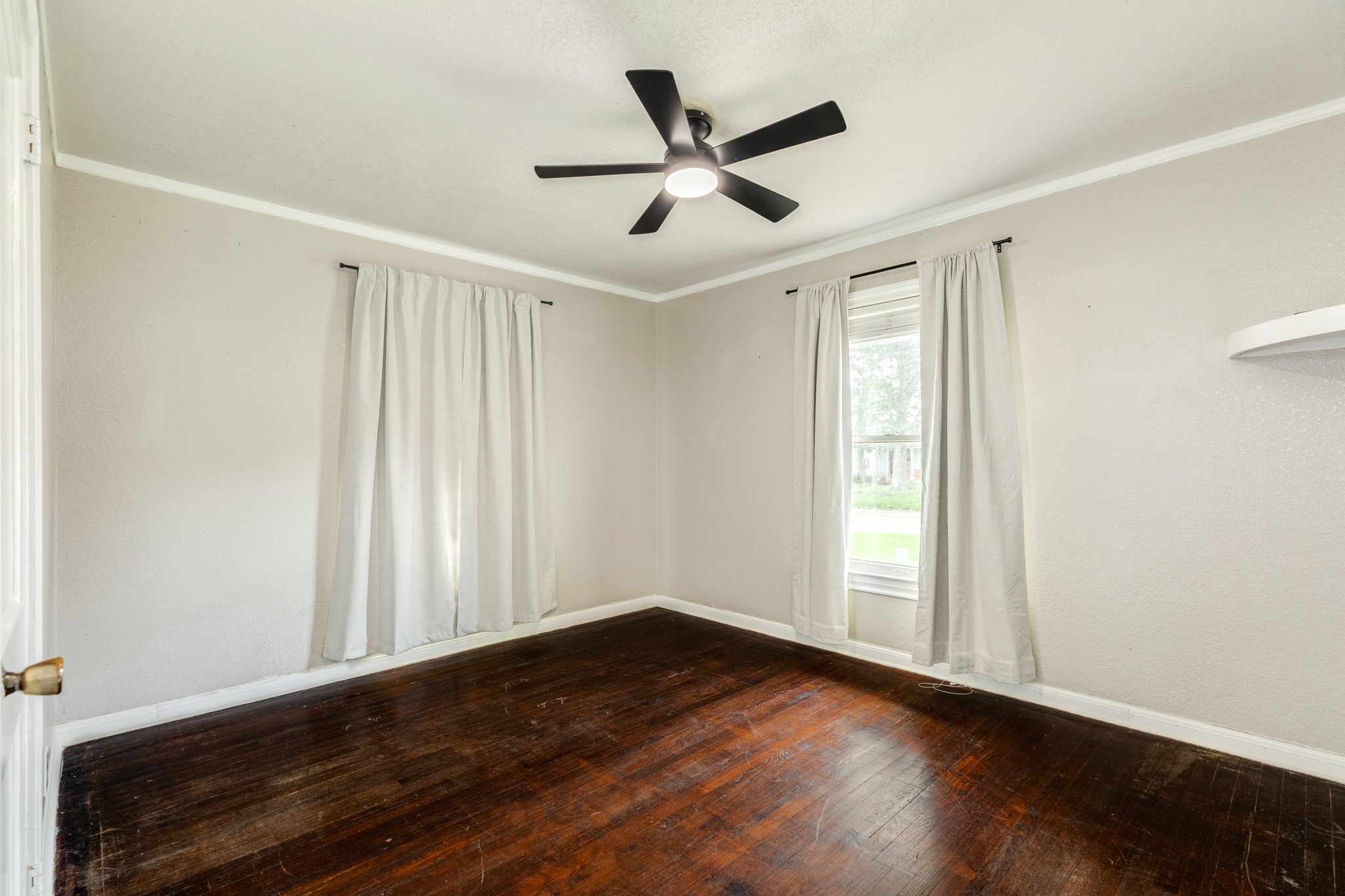 219 Camellia Street Property Photo 20