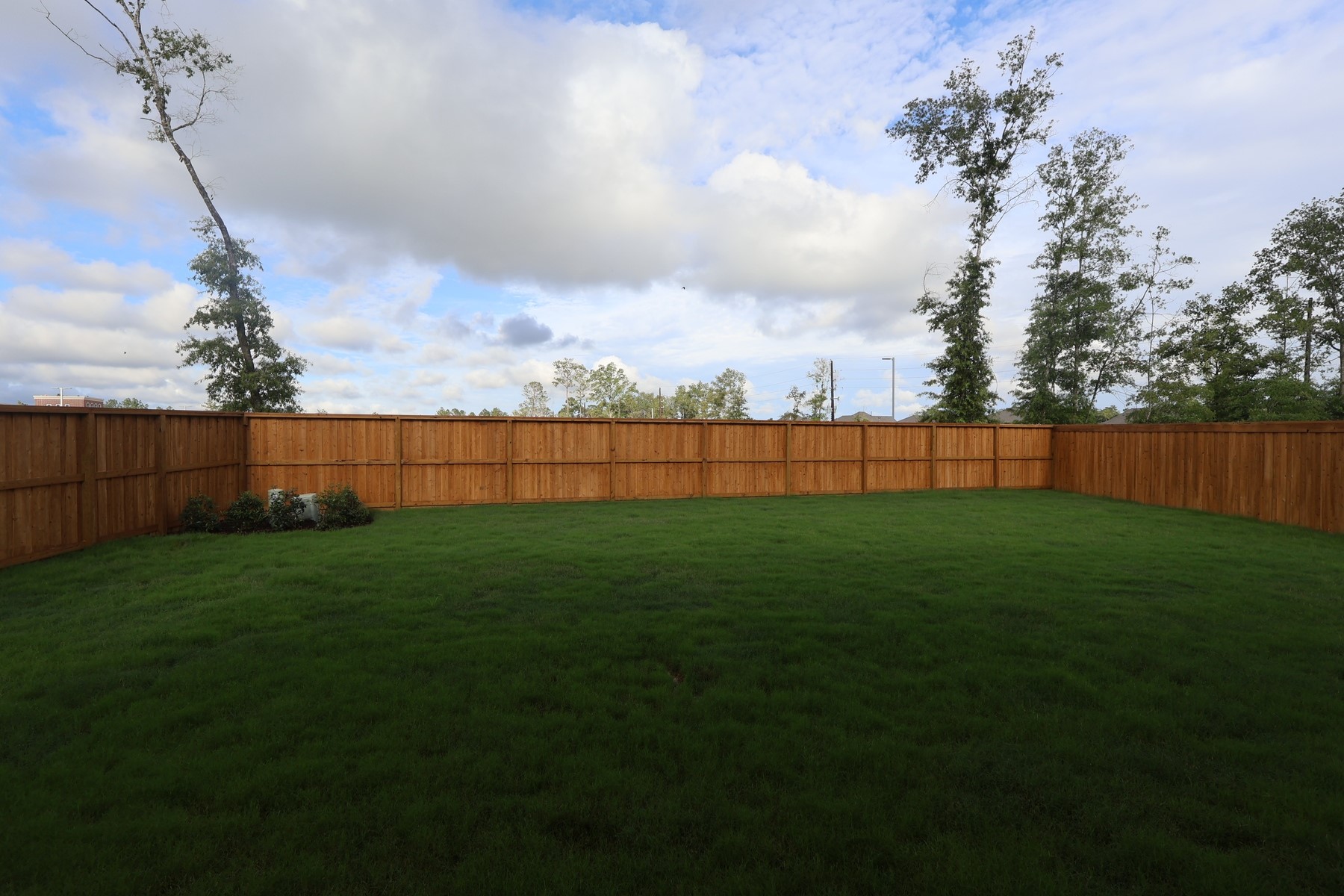 5162 Enchanted Pine Court Property Photo 12