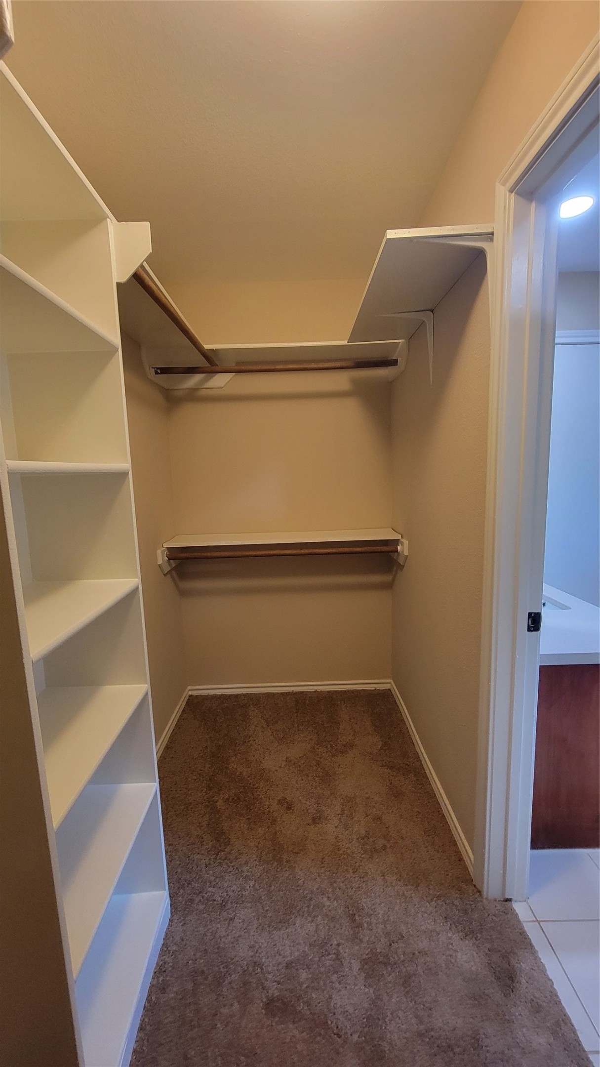 3335 Lakeland Gardens Drive Property Photo 21