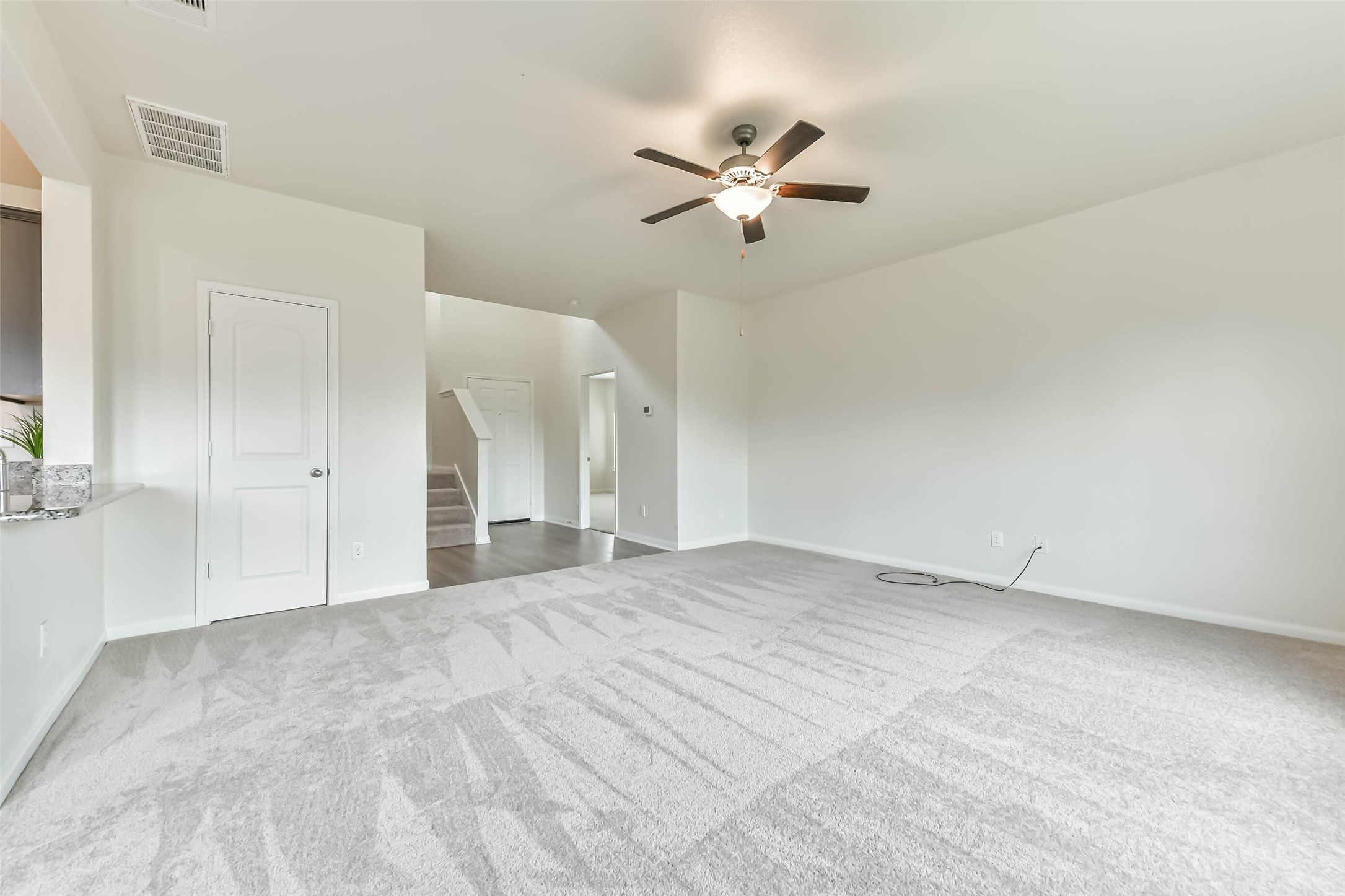 1123 Rare Fancy Drive Property Photo 6