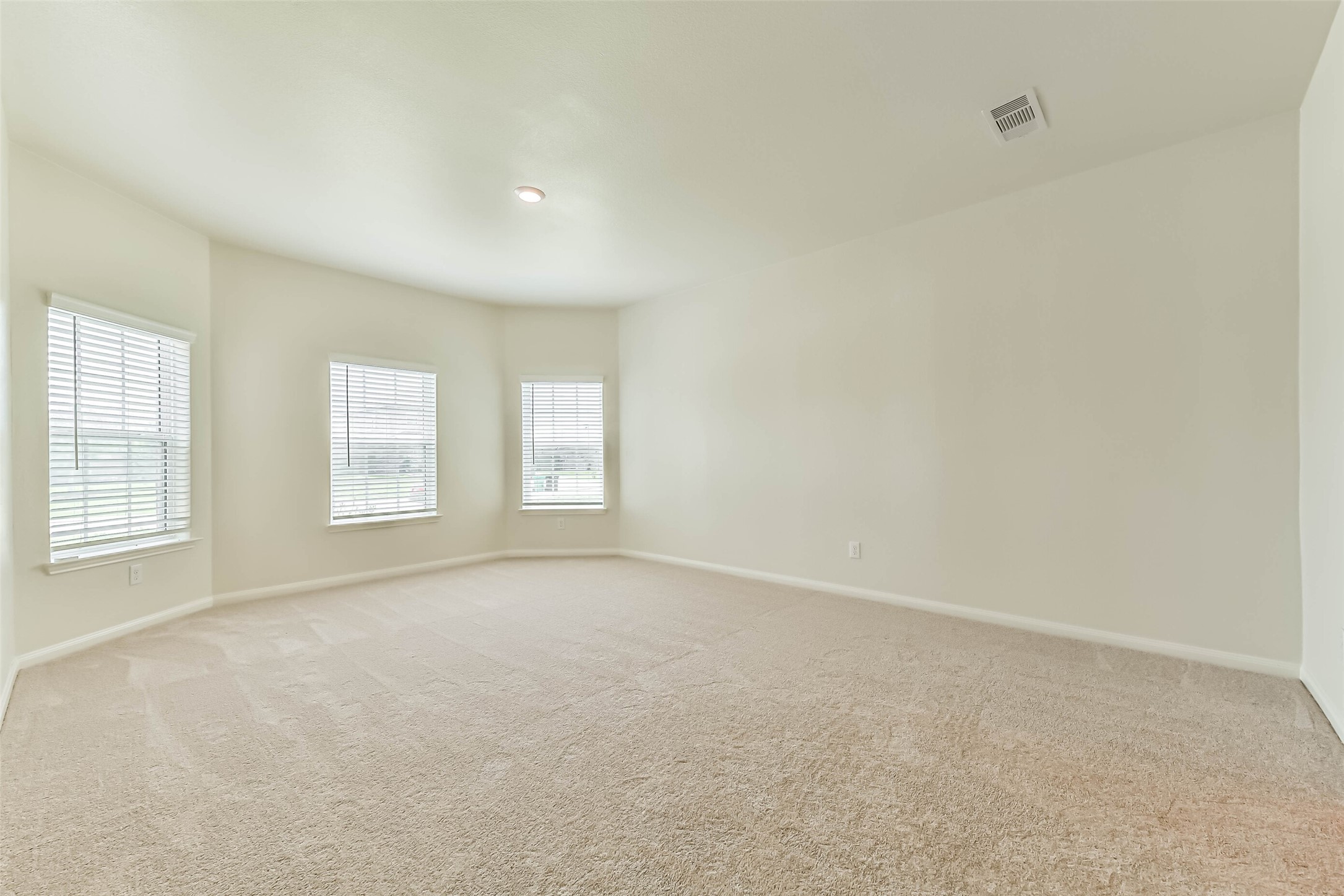 1123 Rare Fancy Drive Property Photo 15