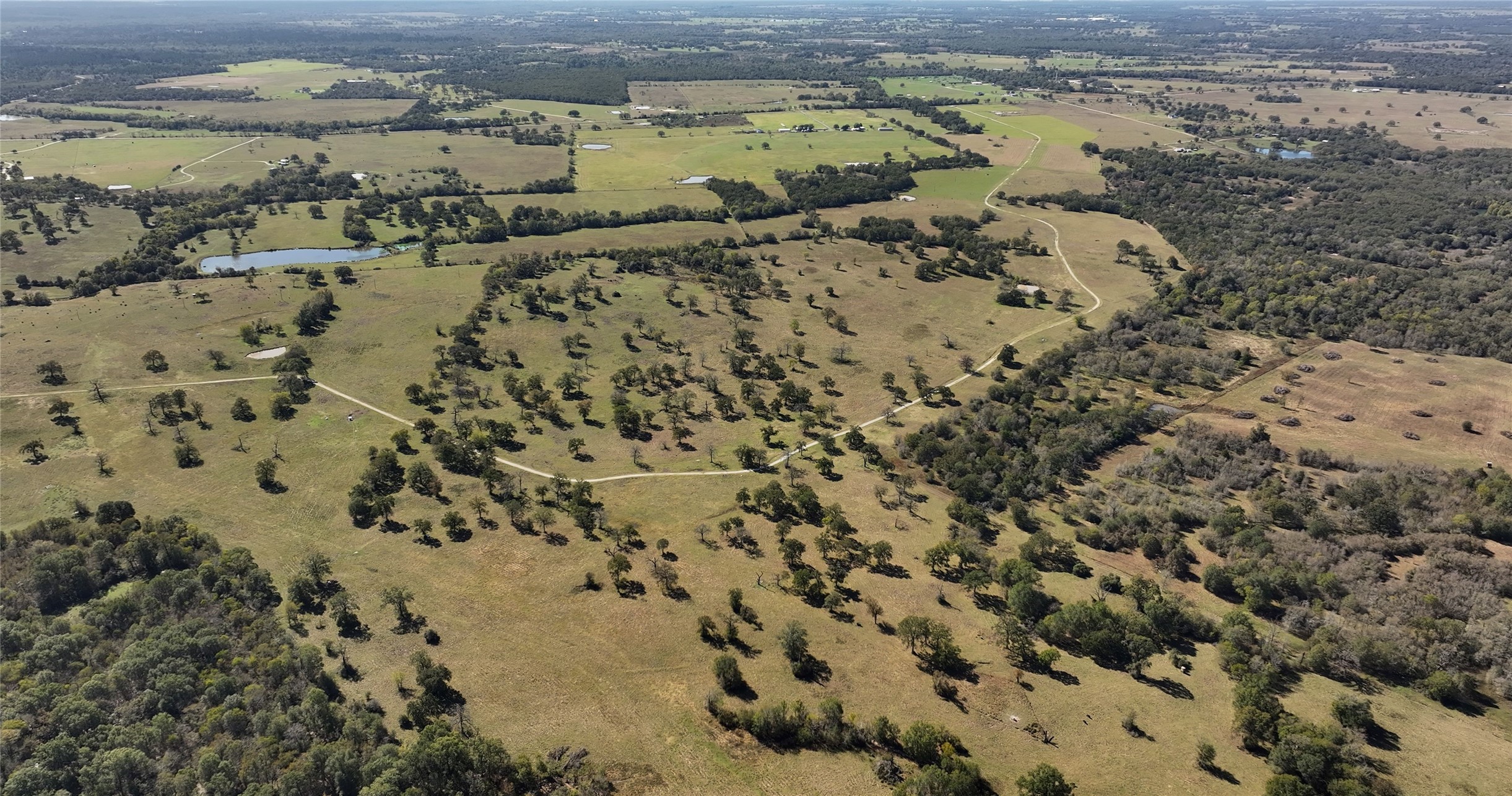 10149 Fm 1428 Property Photo